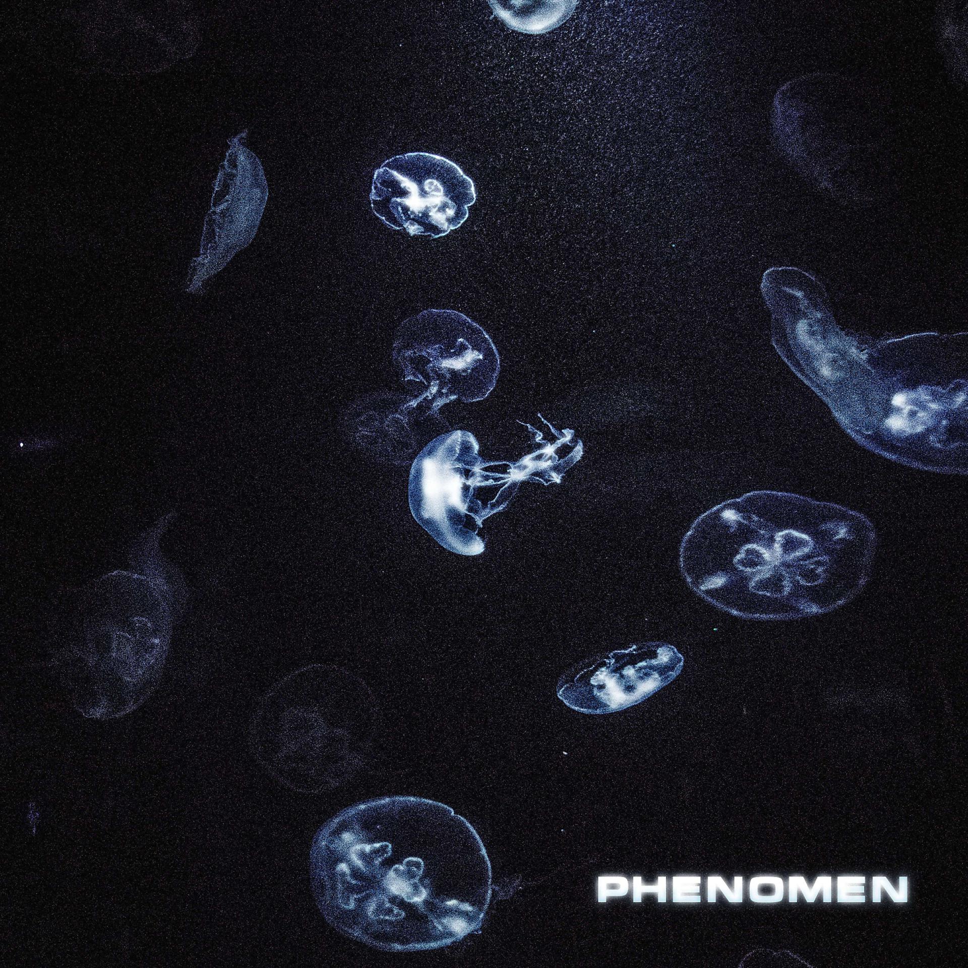 Постер альбома Phenomen