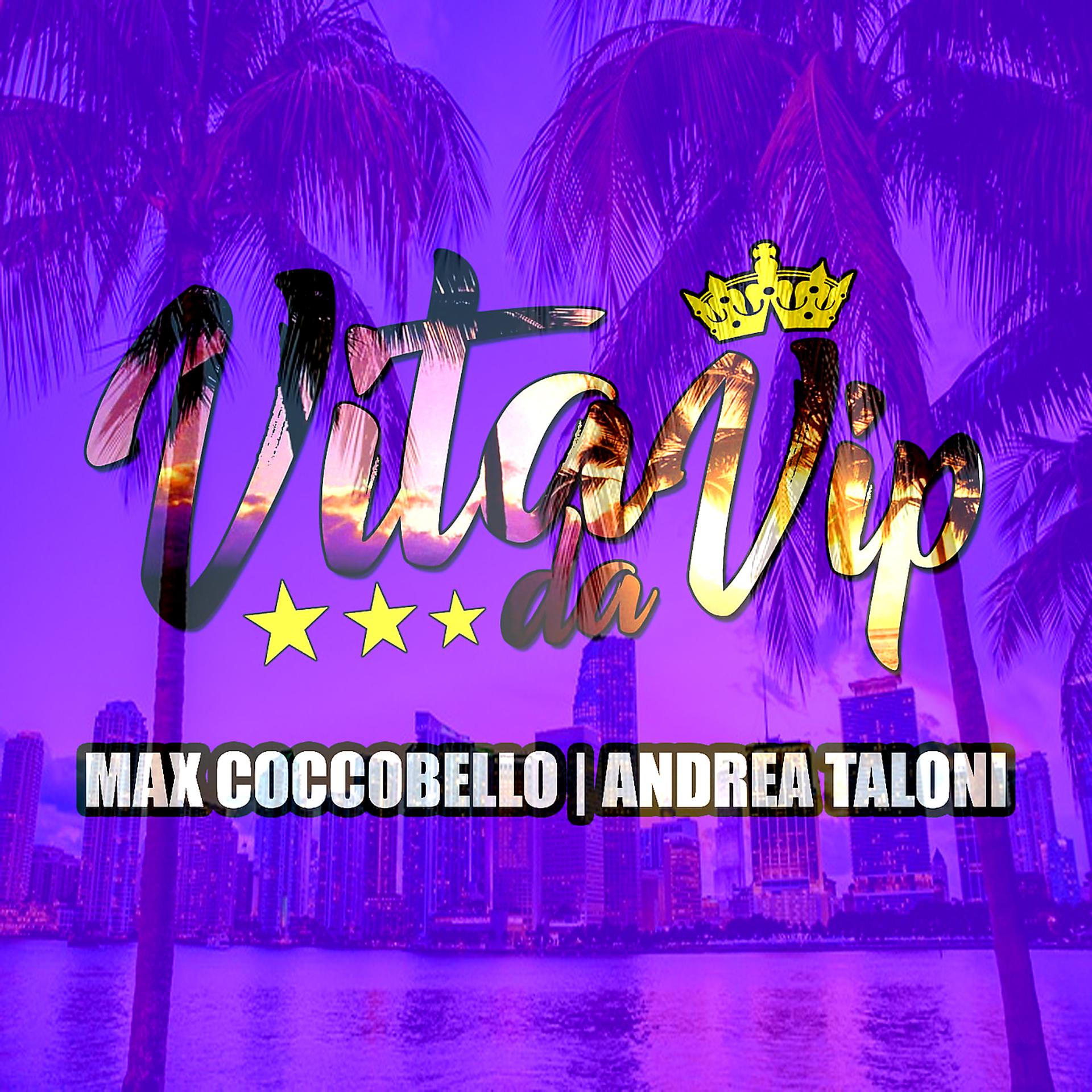 Постер альбома Vita da Vip