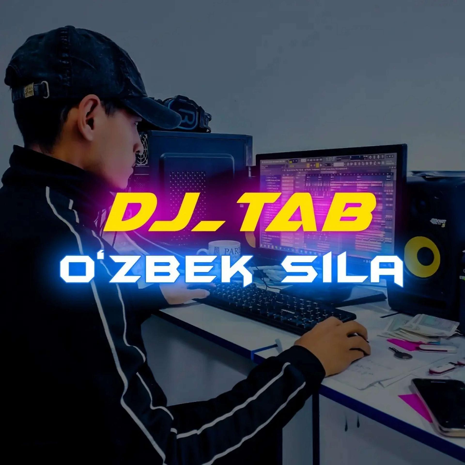 Постер альбома O'zbek Sila