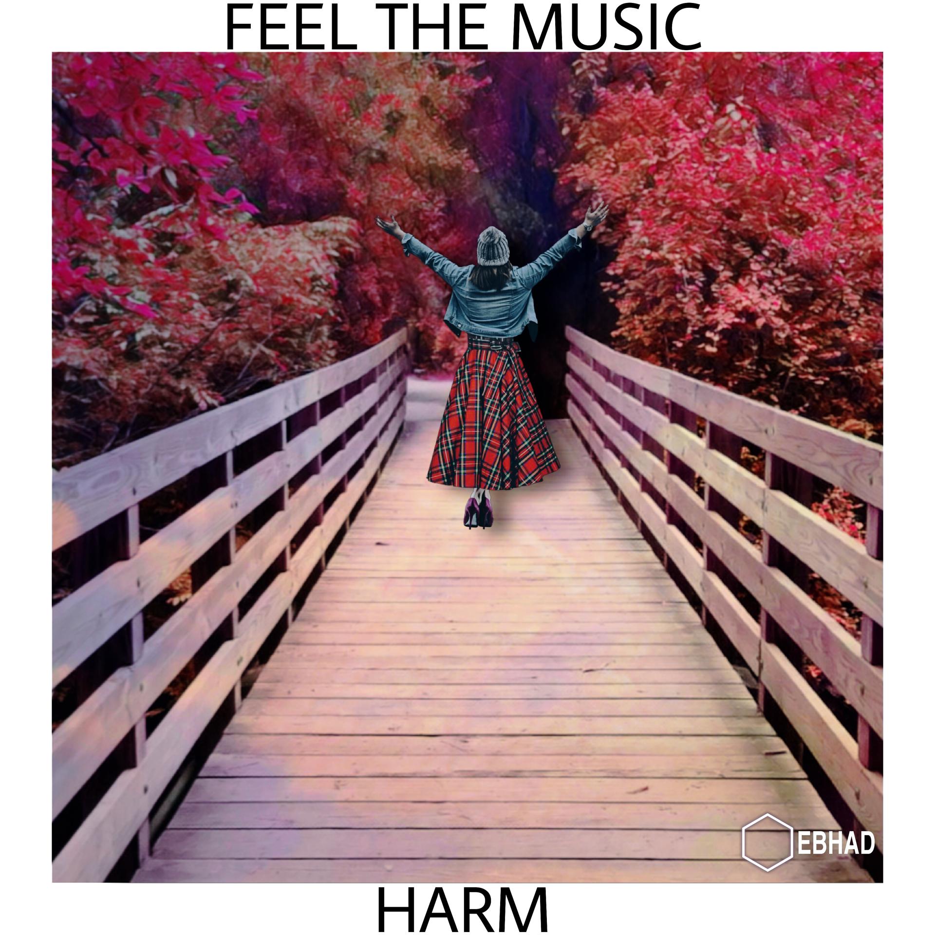 Постер альбома Feel the Music