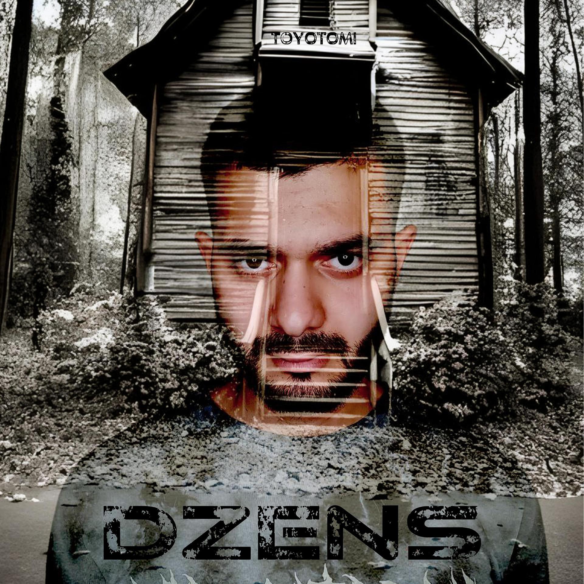 Постер альбома DZENS