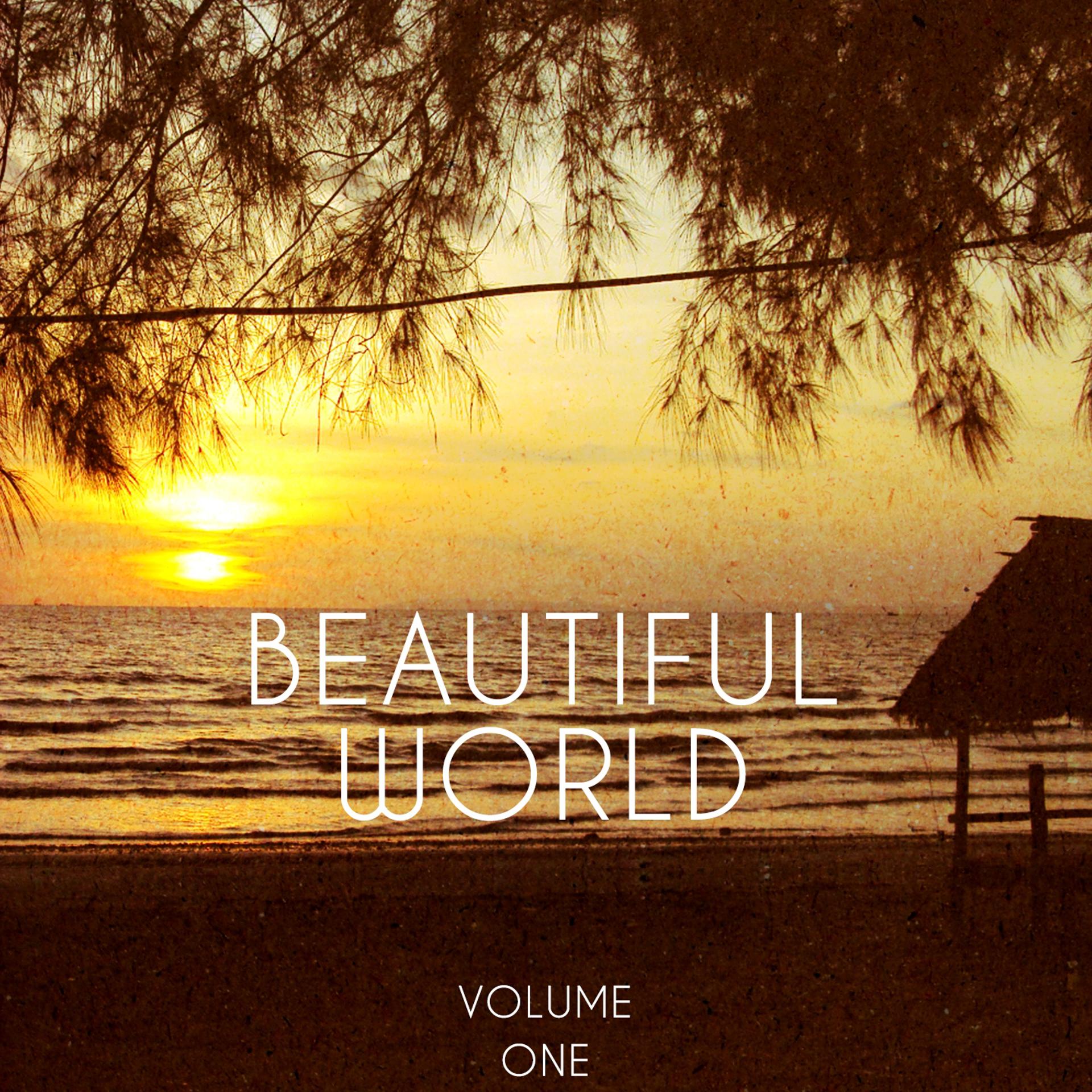 Постер альбома Beautiful World, Vol. 1