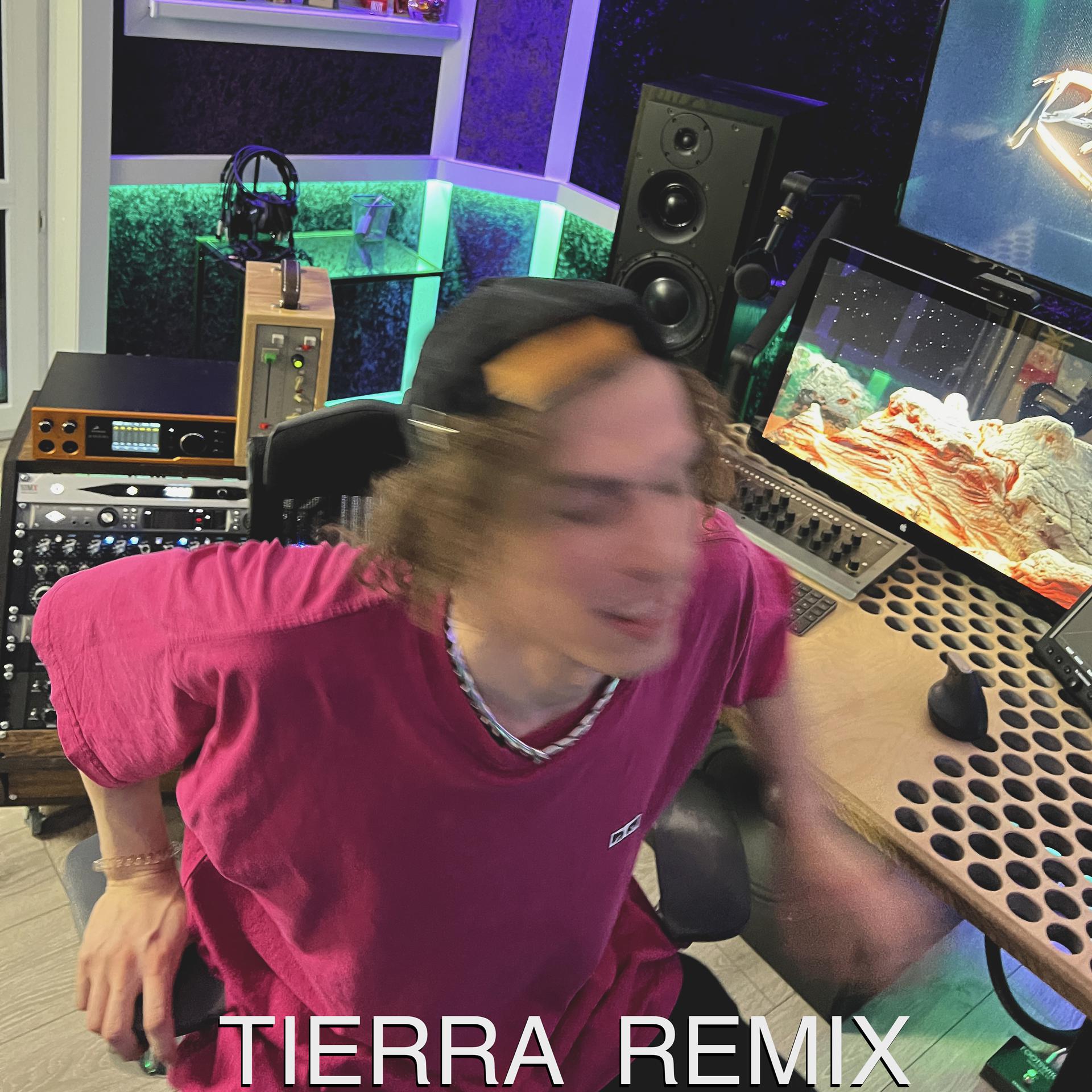 Постер альбома Не выходишь из головы (TIERRA Remix)