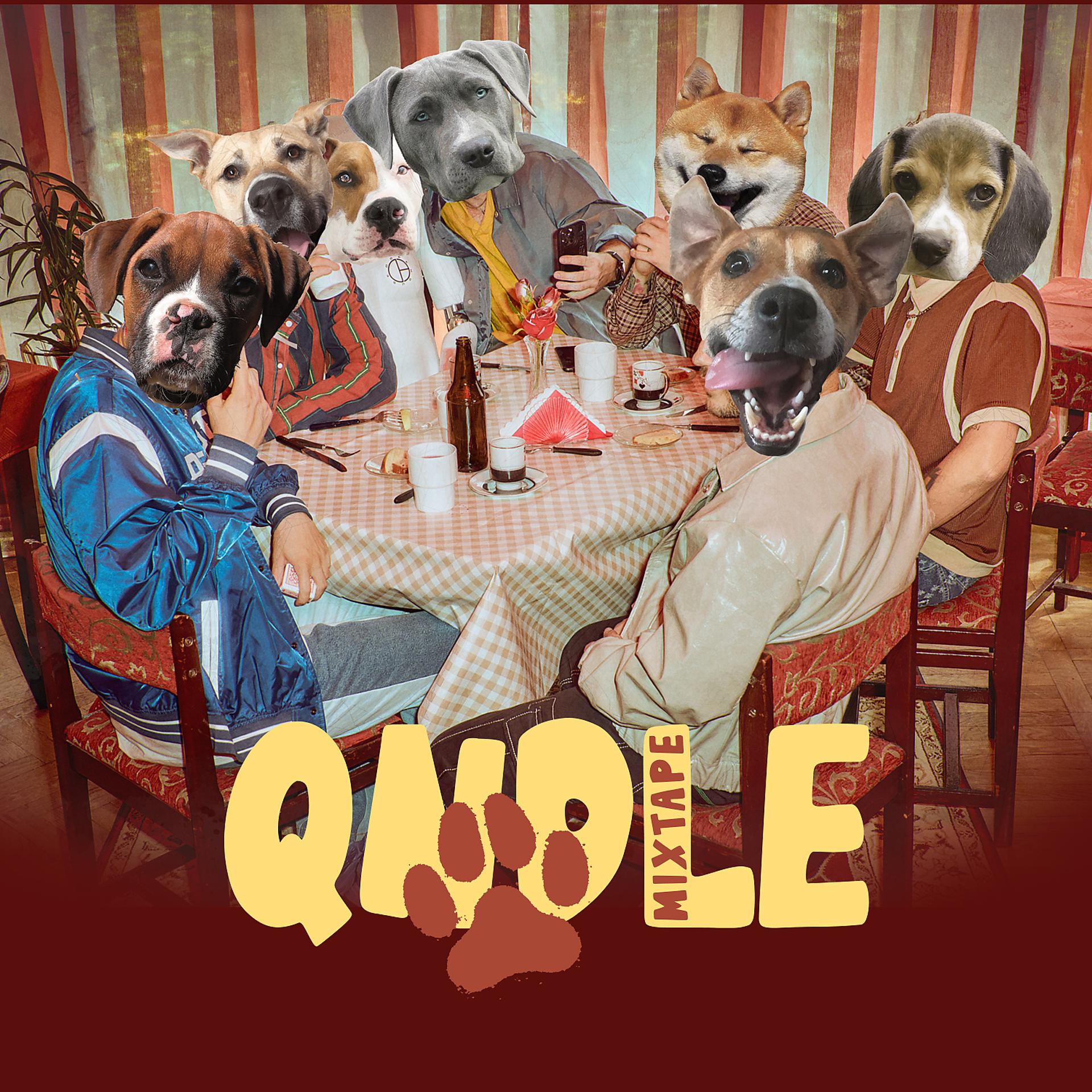 Постер альбома QNDLE