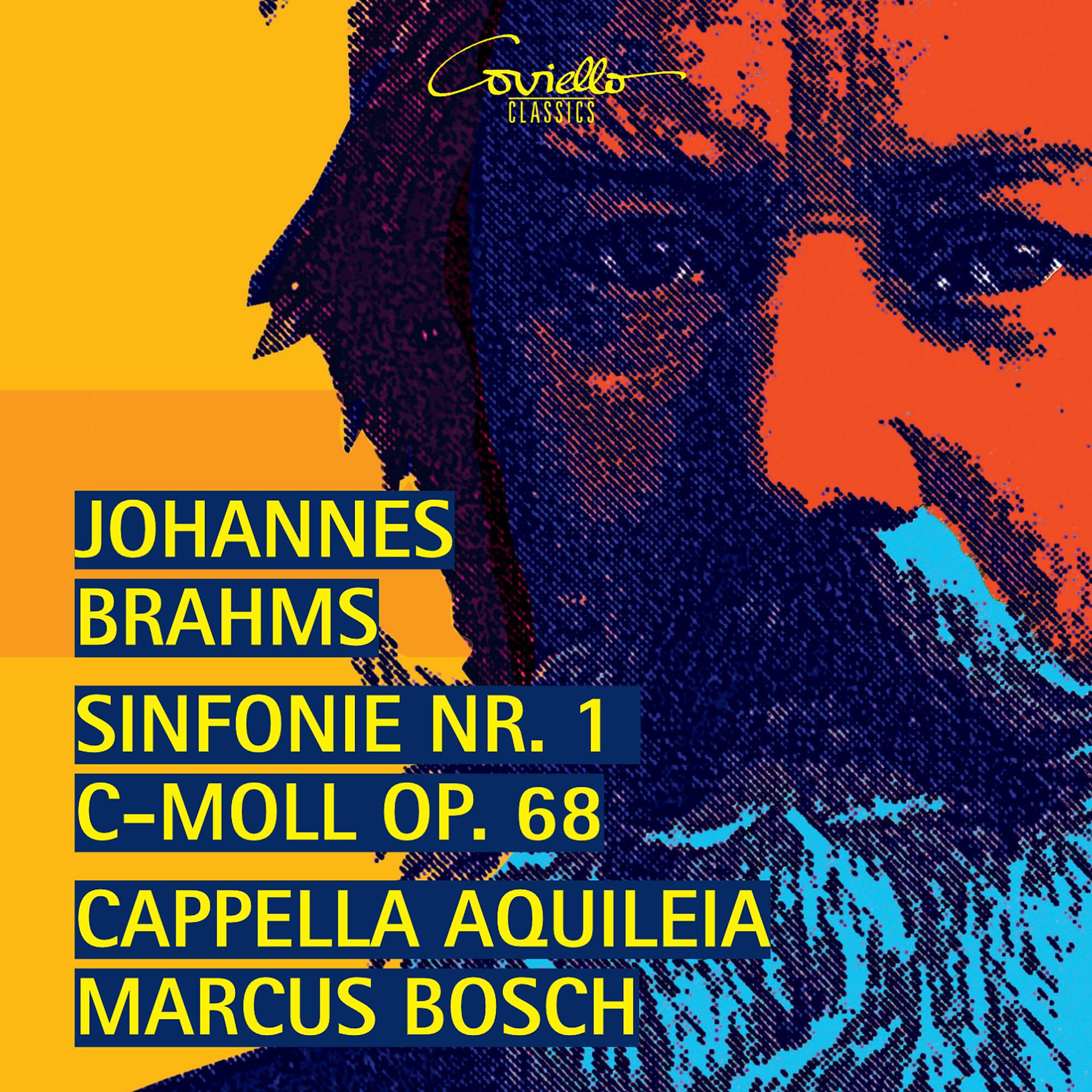 Постер альбома Brahms: Sinfonie Nr. 1