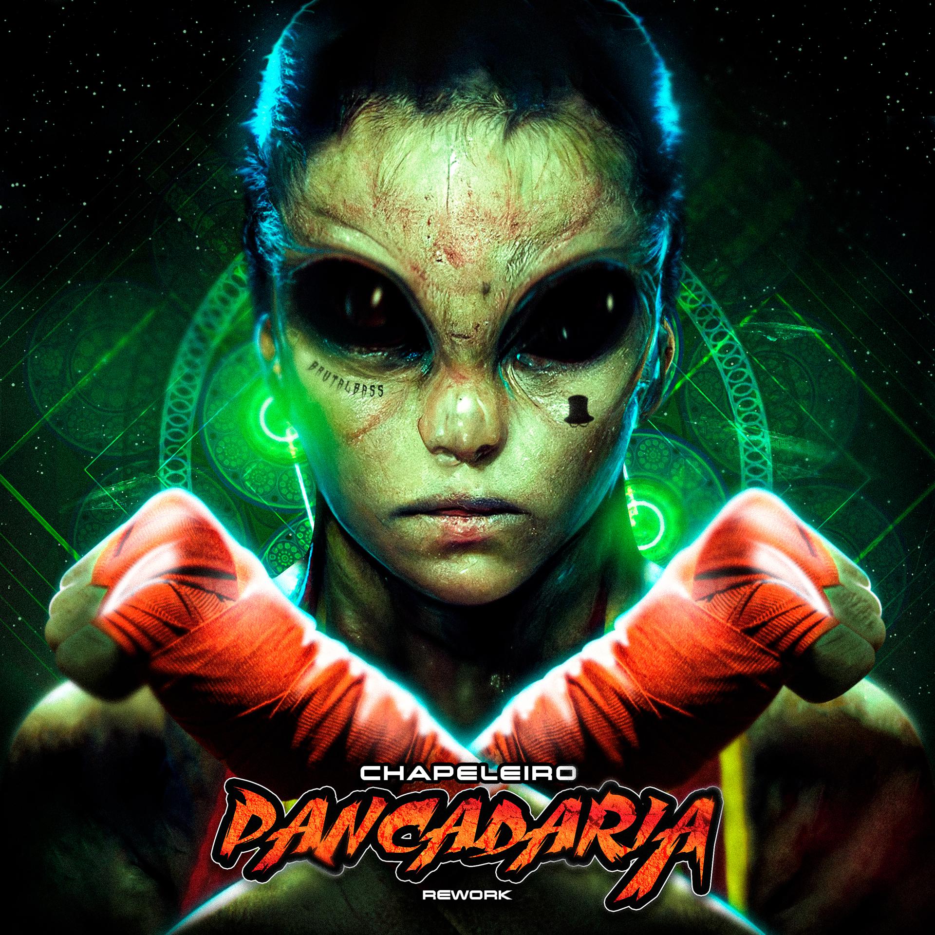 Постер альбома Pancadaria (Rework)