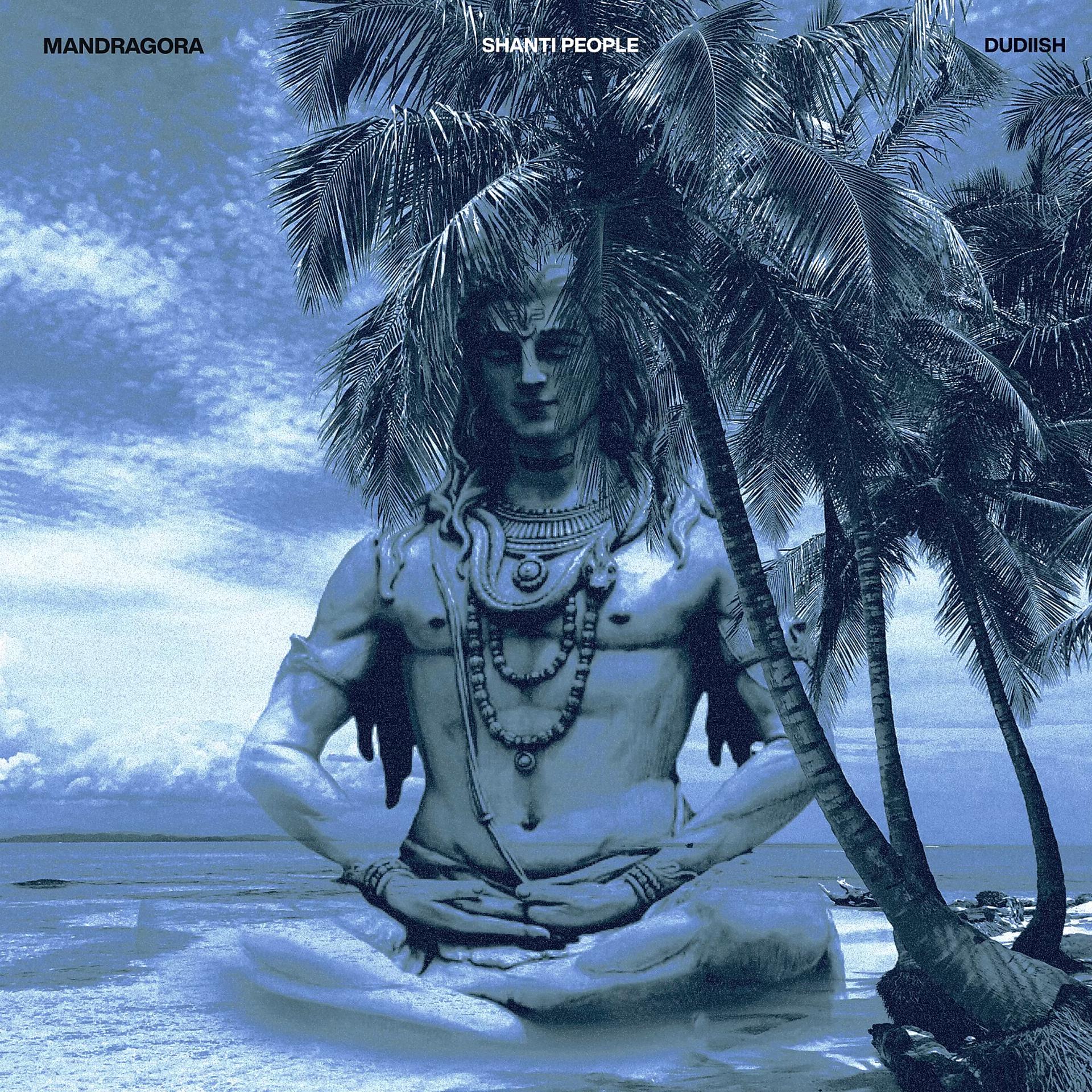 Постер альбома Shiva Style, Pt. 2