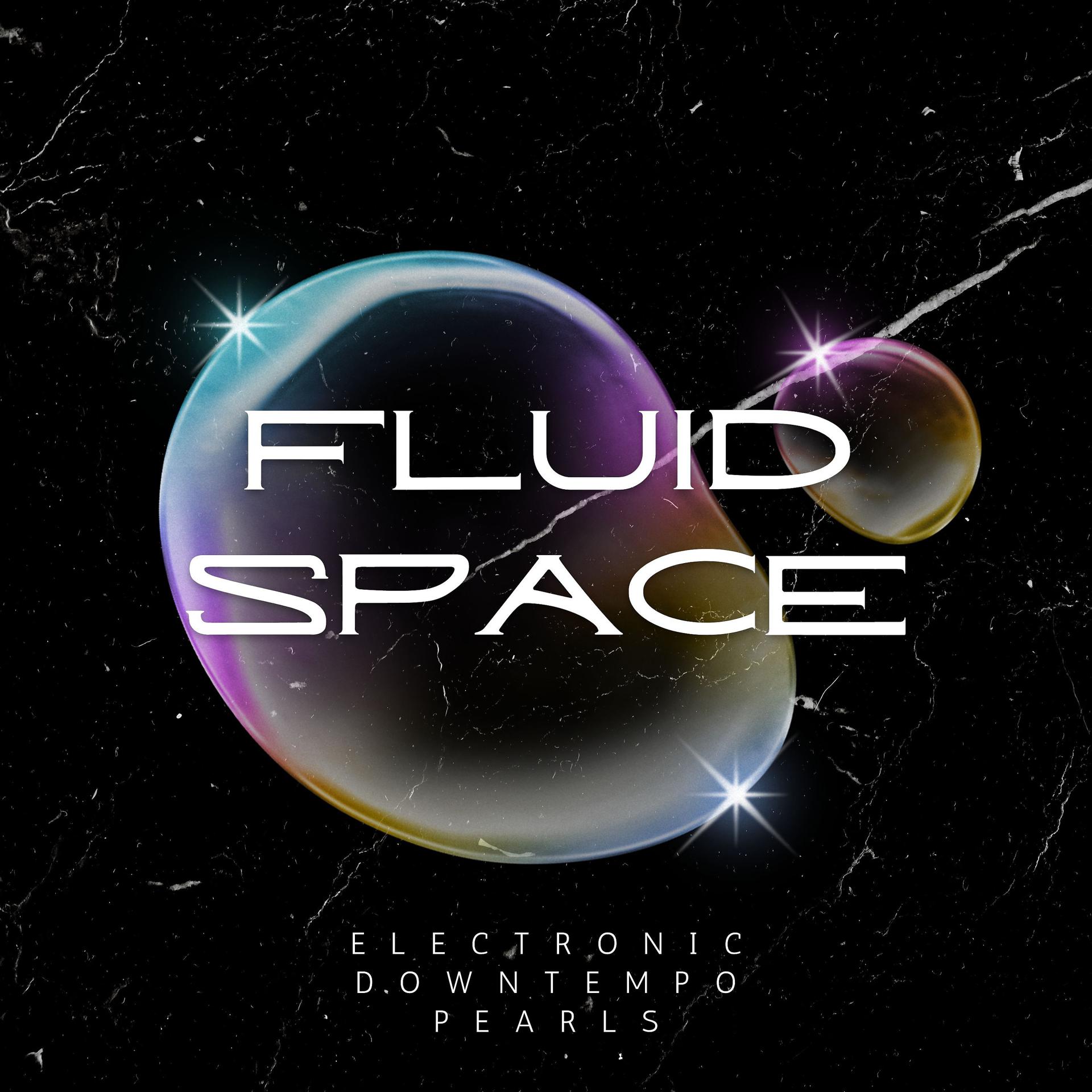 Постер альбома Fluid Space