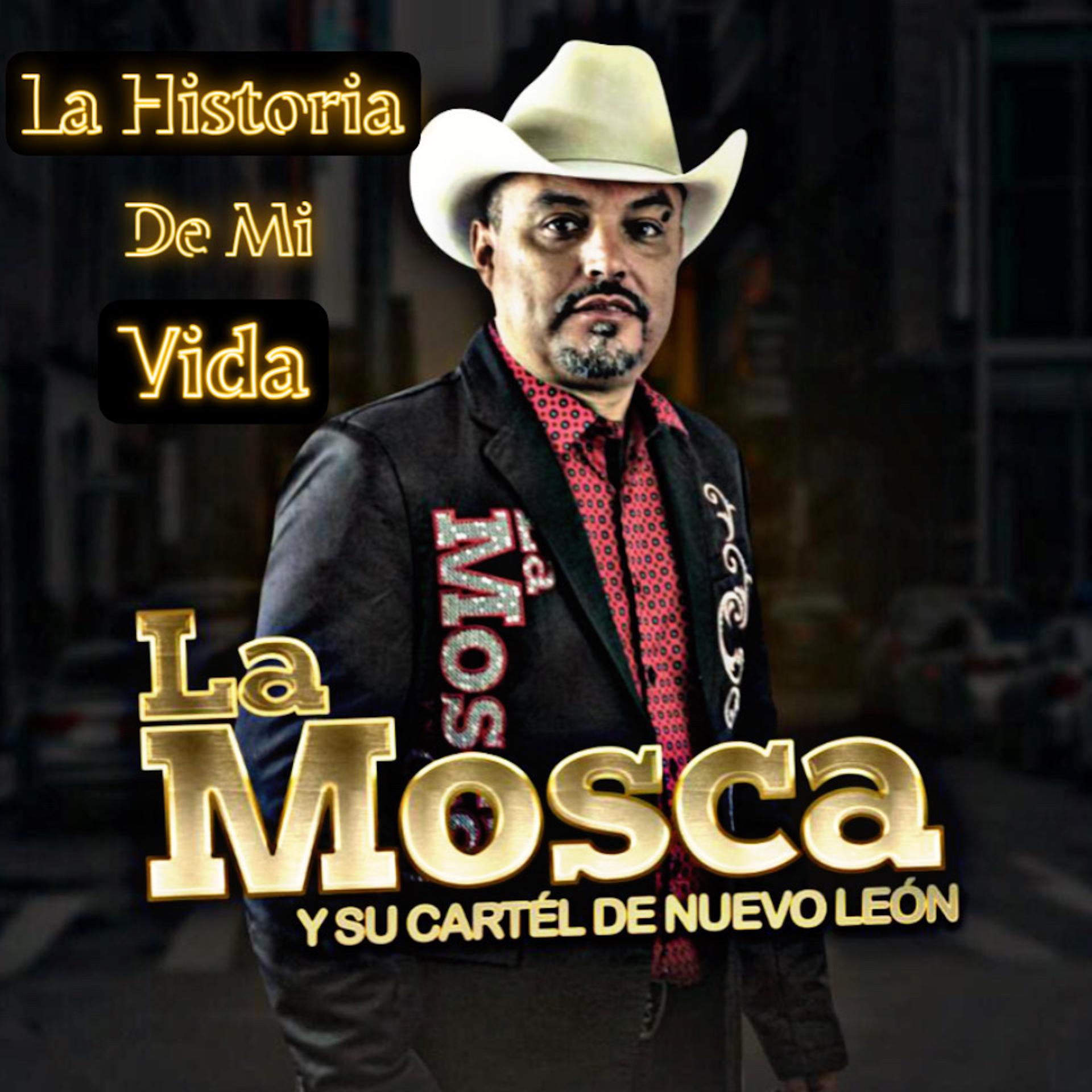 Постер альбома La Historia De Mi Vida