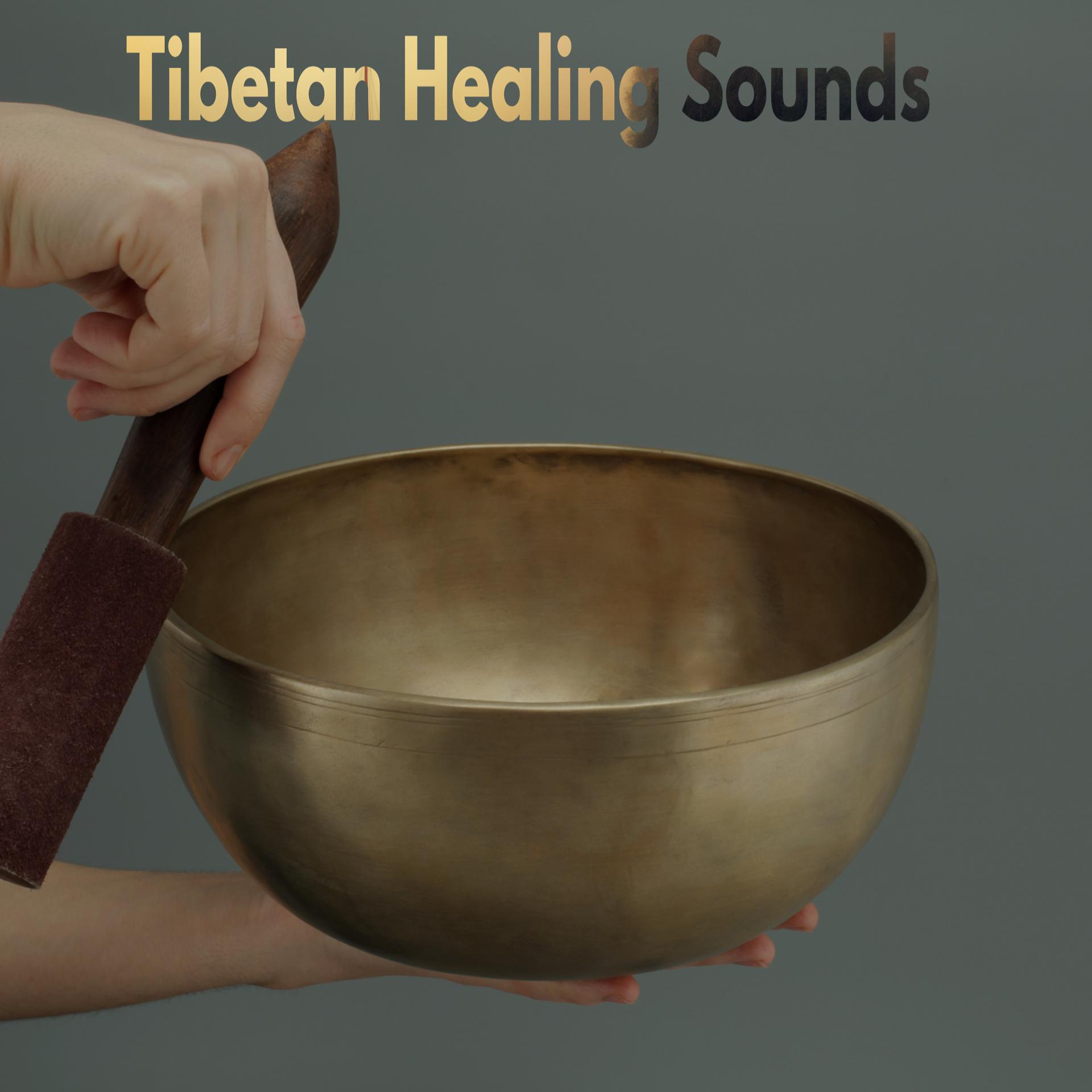 Постер альбома Tibetan Healing Sounds