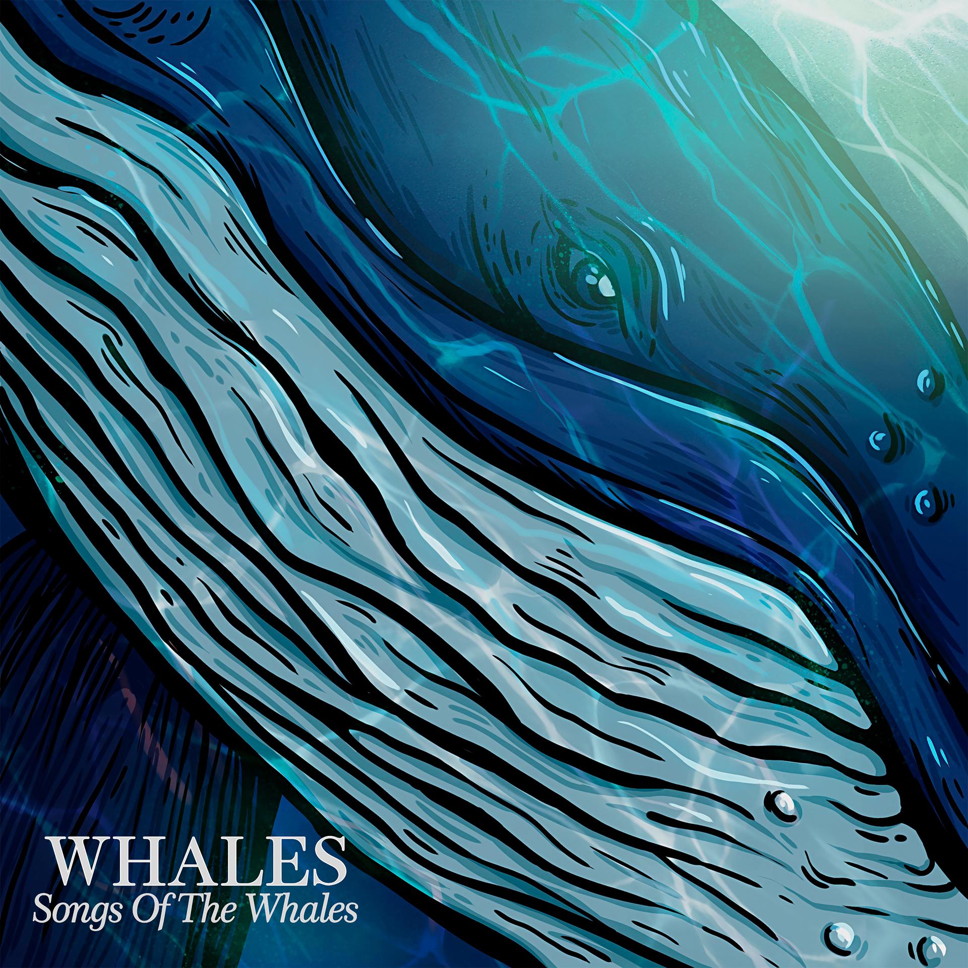 Постер альбома Songs Of The Whales