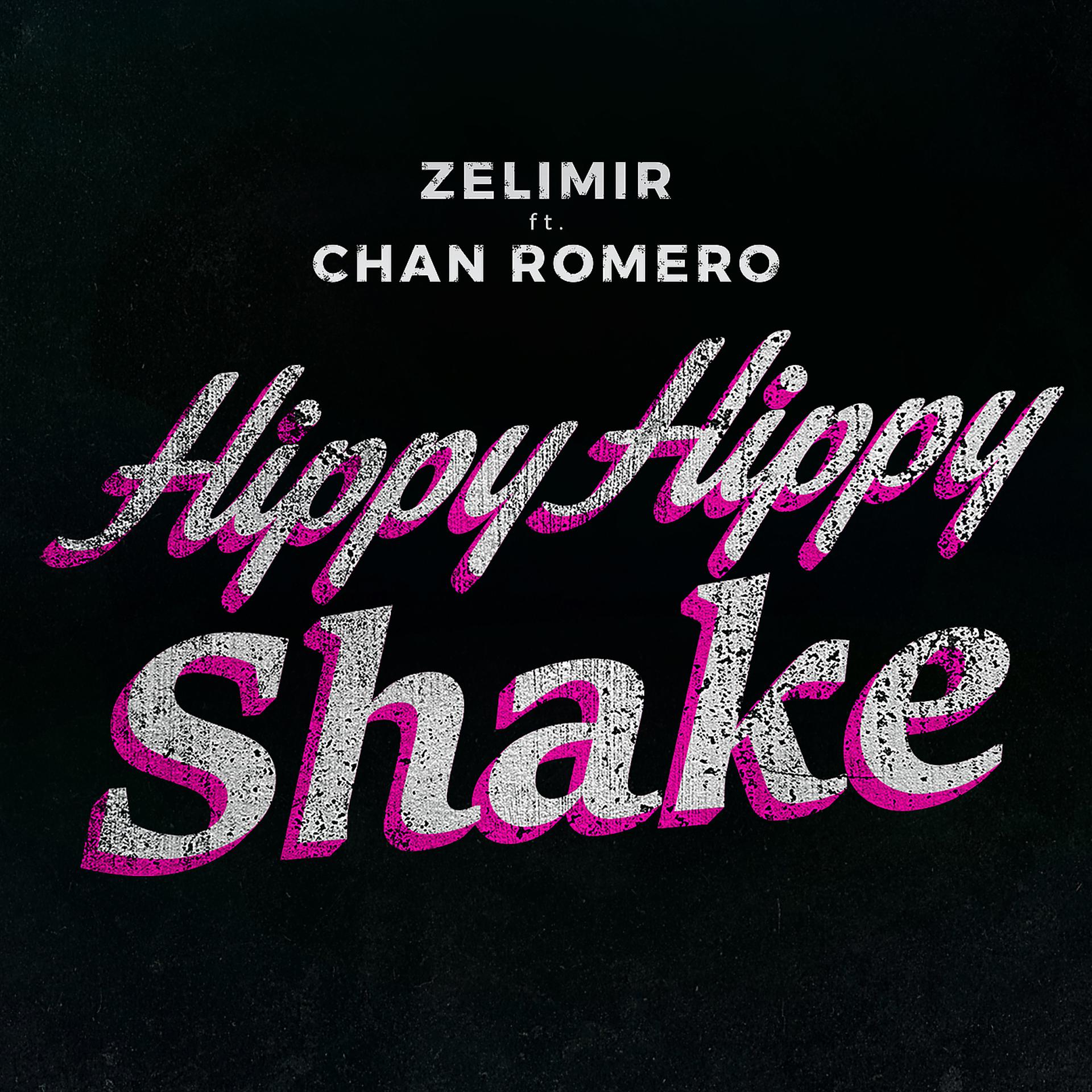 Постер альбома Hippy Hippy Shake