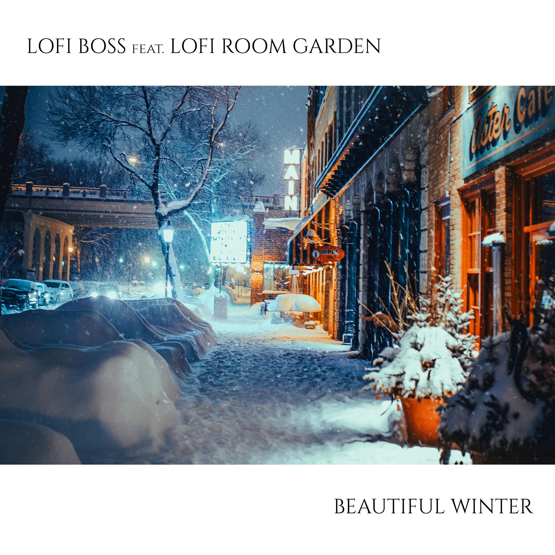 Постер альбома Beautiful Winter