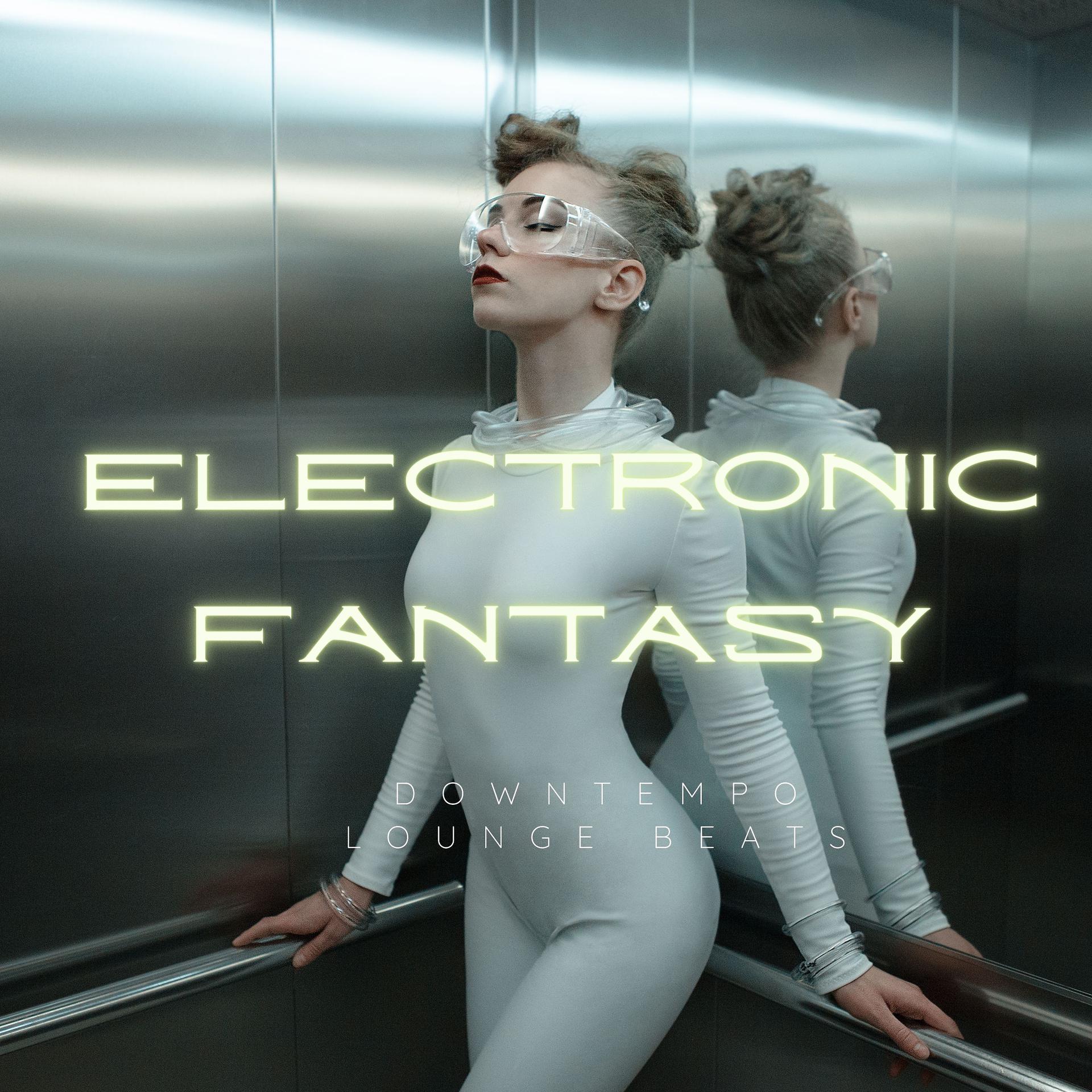 Постер альбома Electronic Fantasy