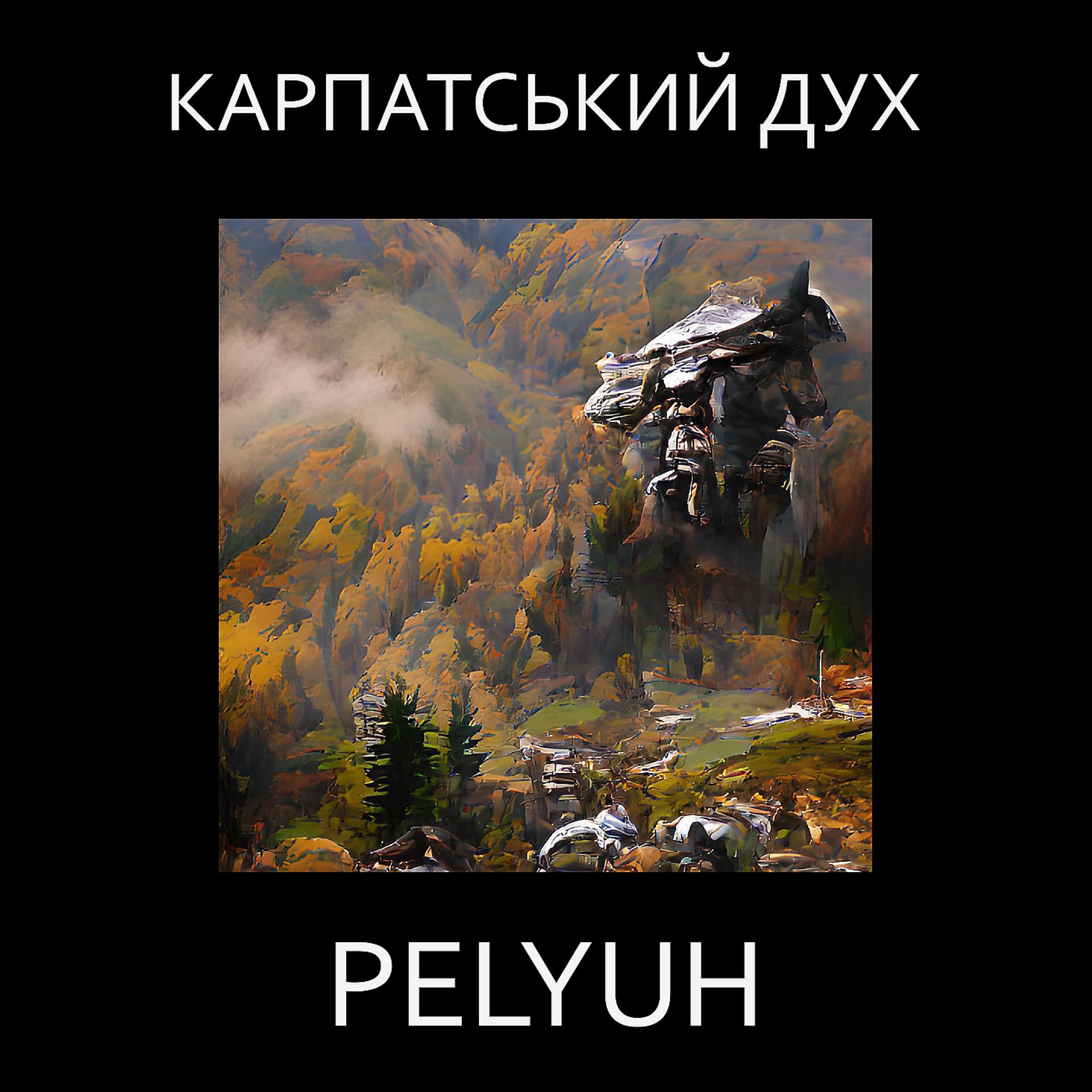 Постер альбома Карпатський дух