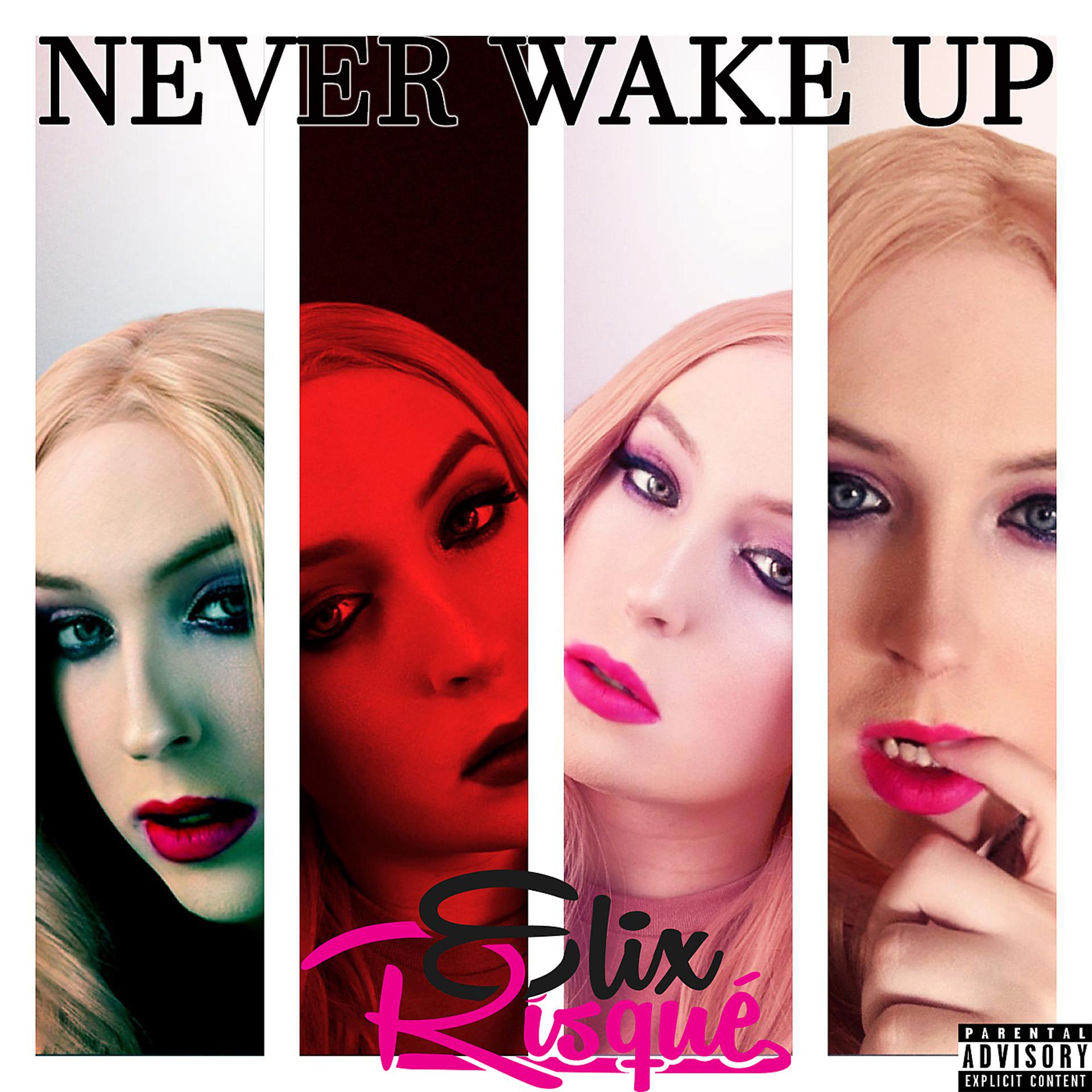 Постер альбома Never Wake Up