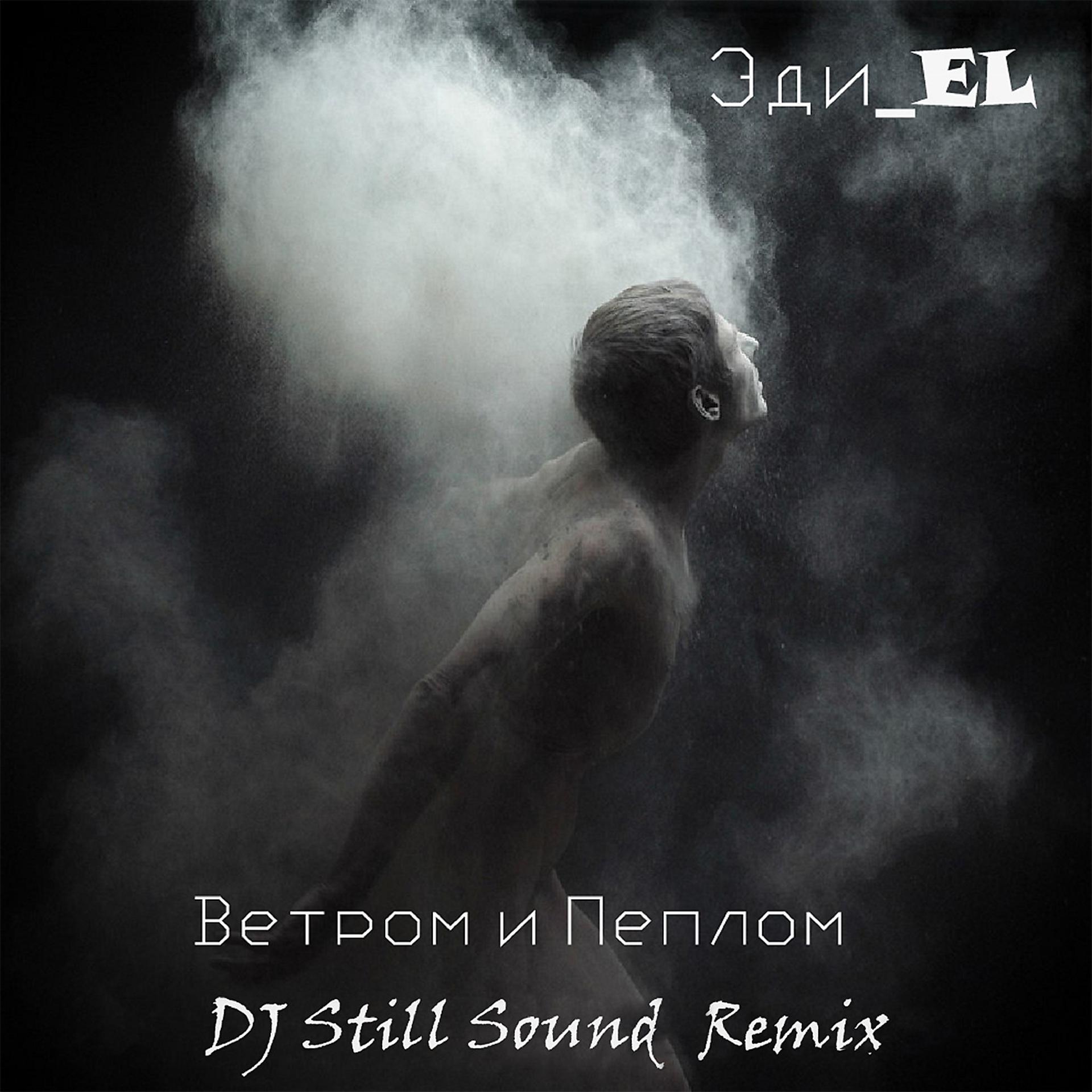 Постер альбома Ветром и пеплом (DJ Still Sound Remix)