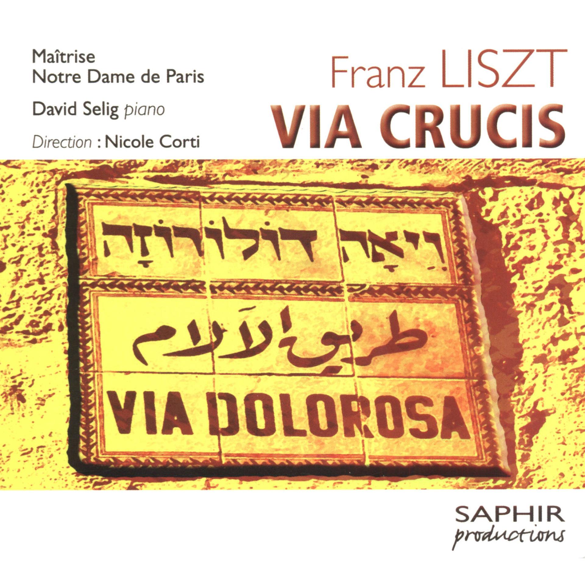 Постер альбома Liszt: Via crucis