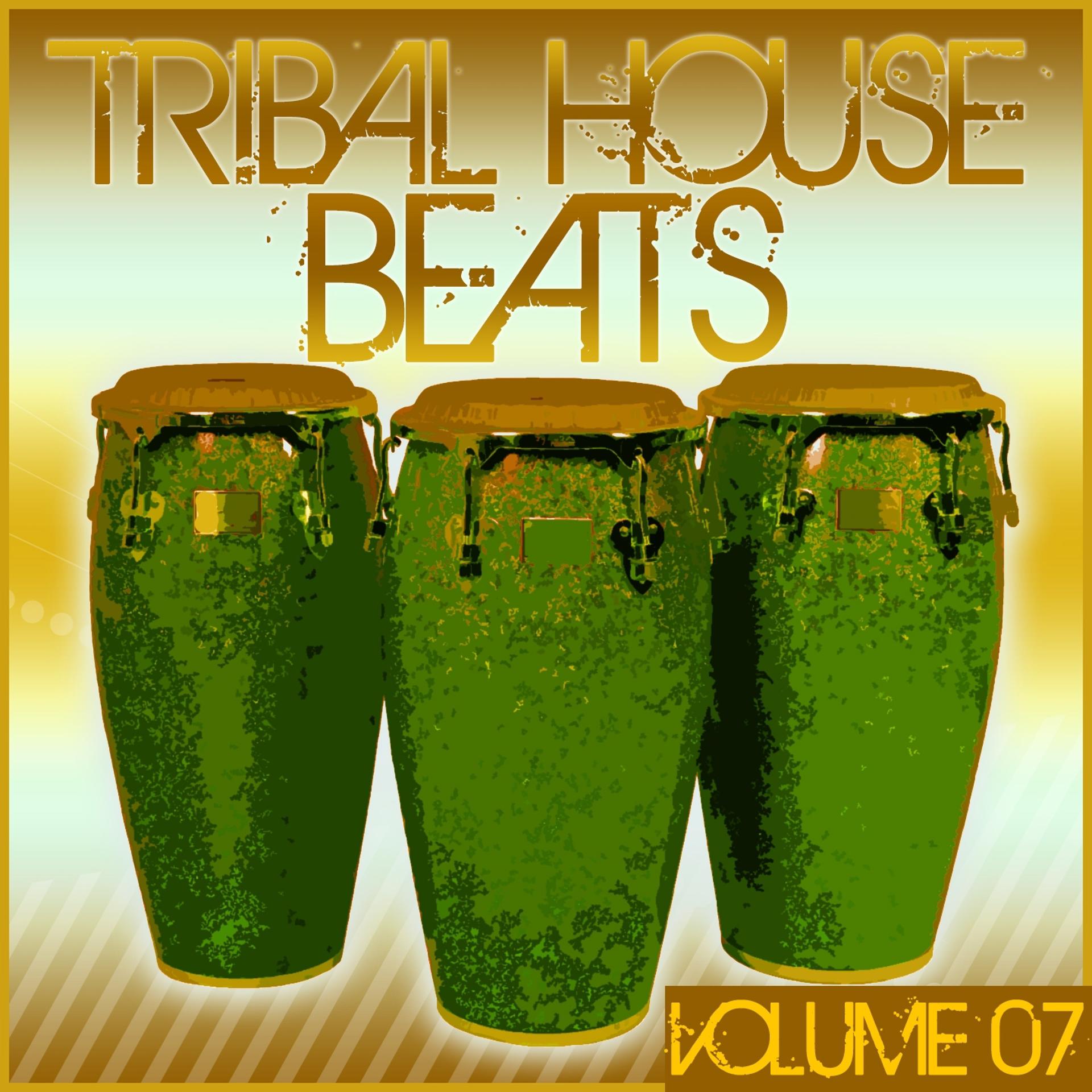 Постер альбома Tribal House Beats, Vol. 07