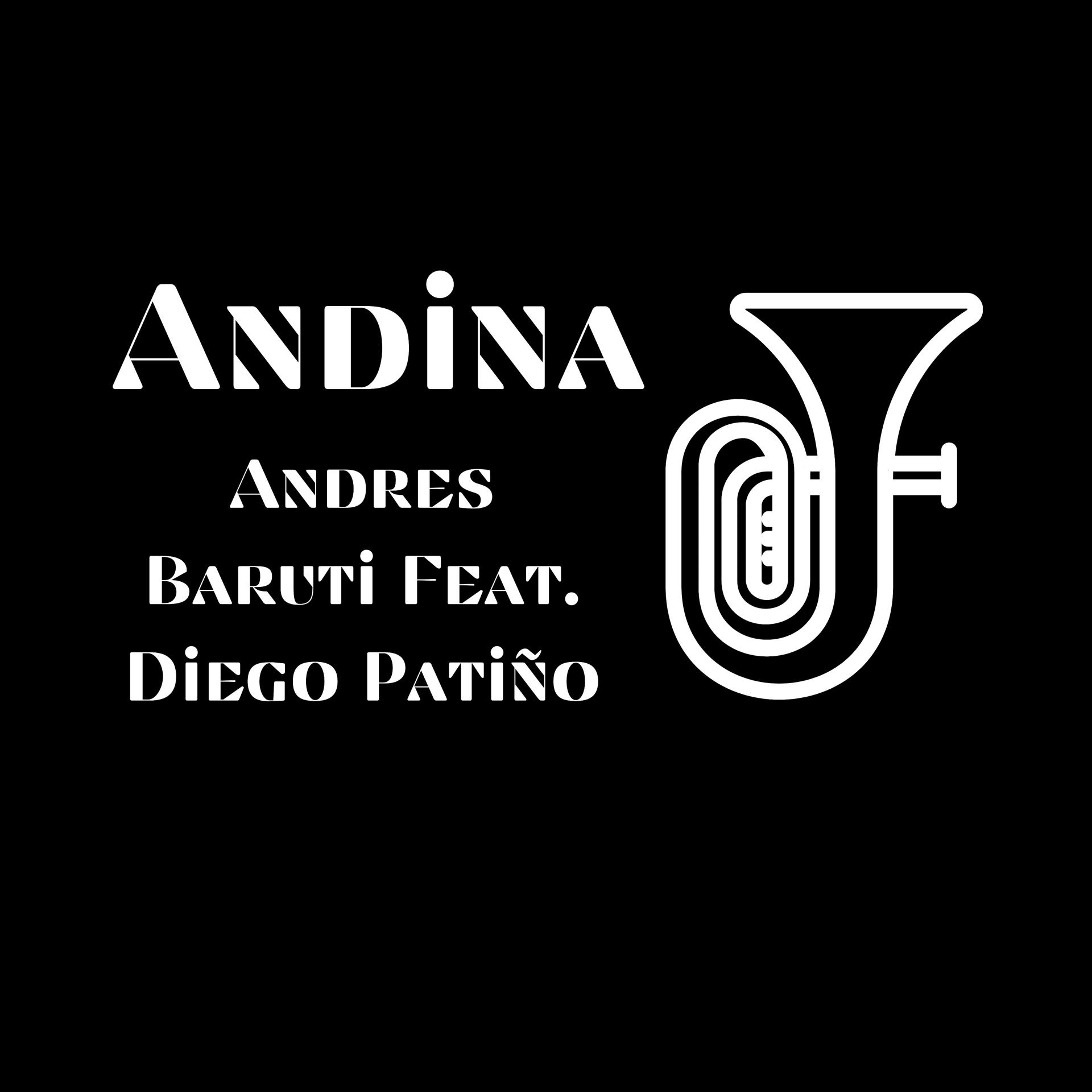 Постер альбома Andina