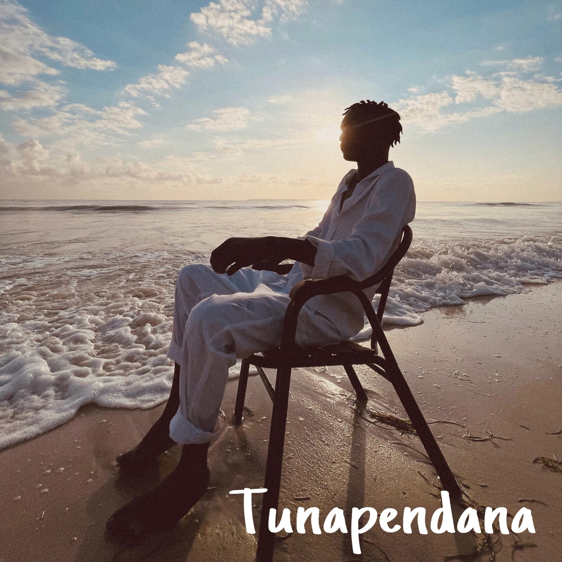 Постер альбома Tunapendana