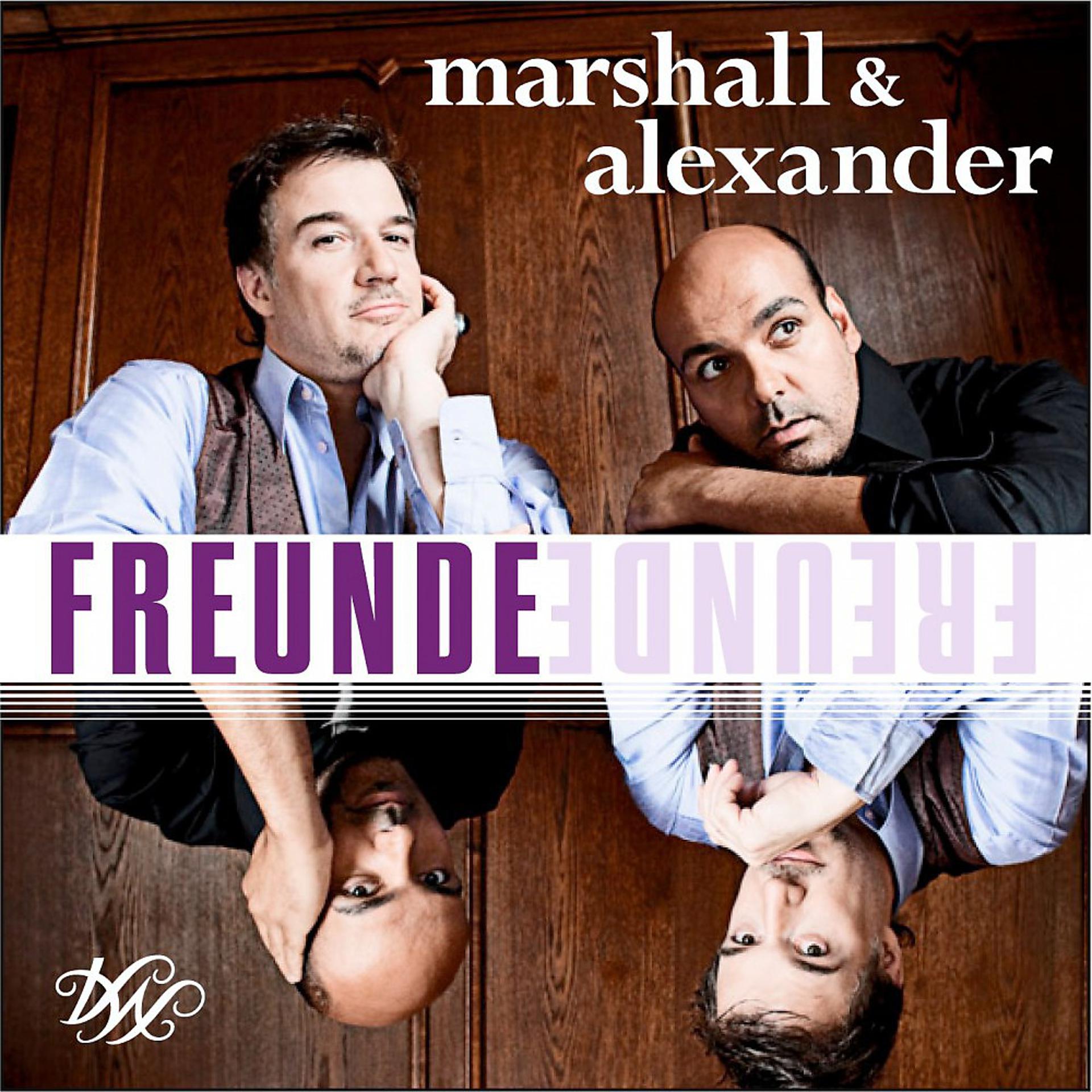 Постер альбома Freunde