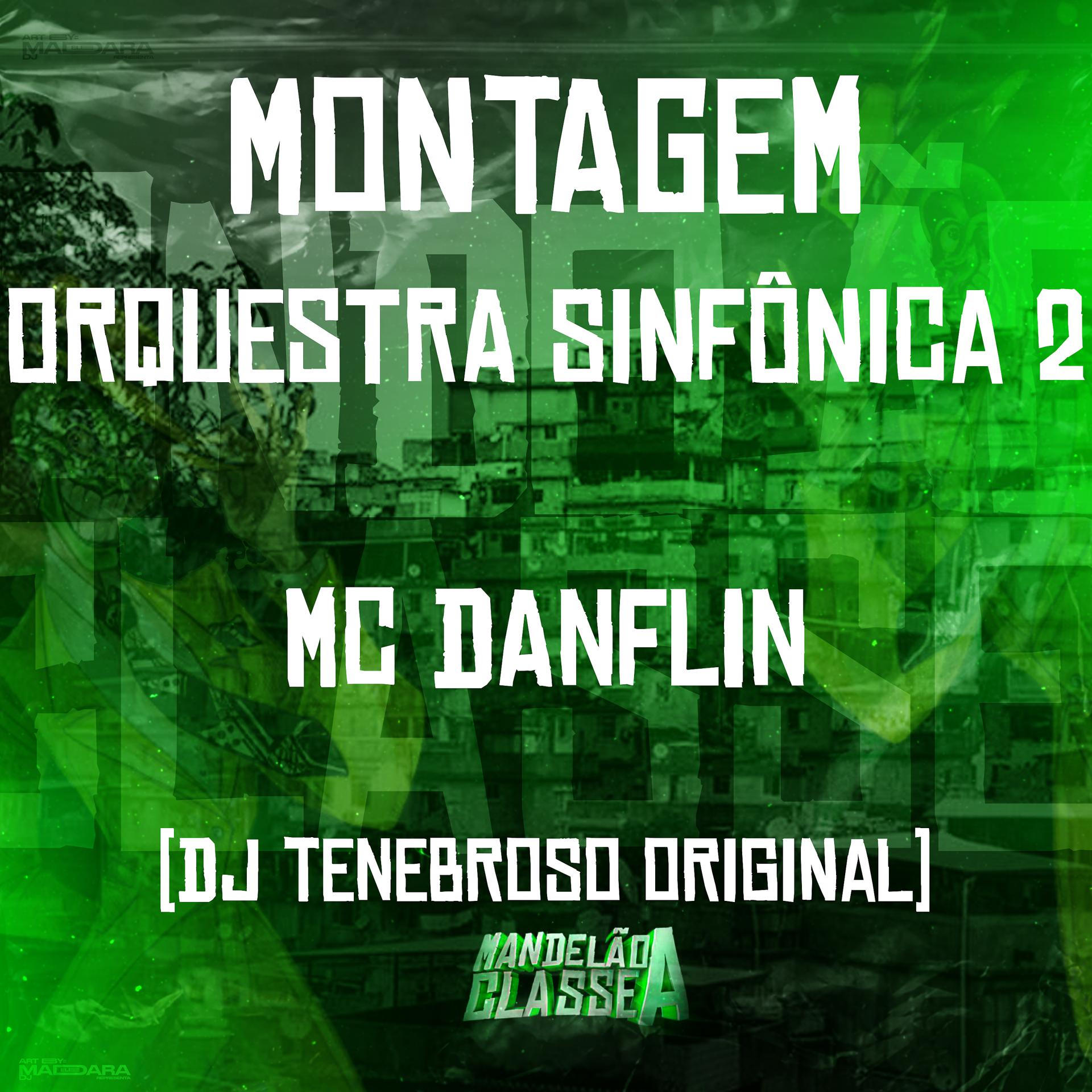 Постер альбома Montagem Orquestra Sinfônica 2