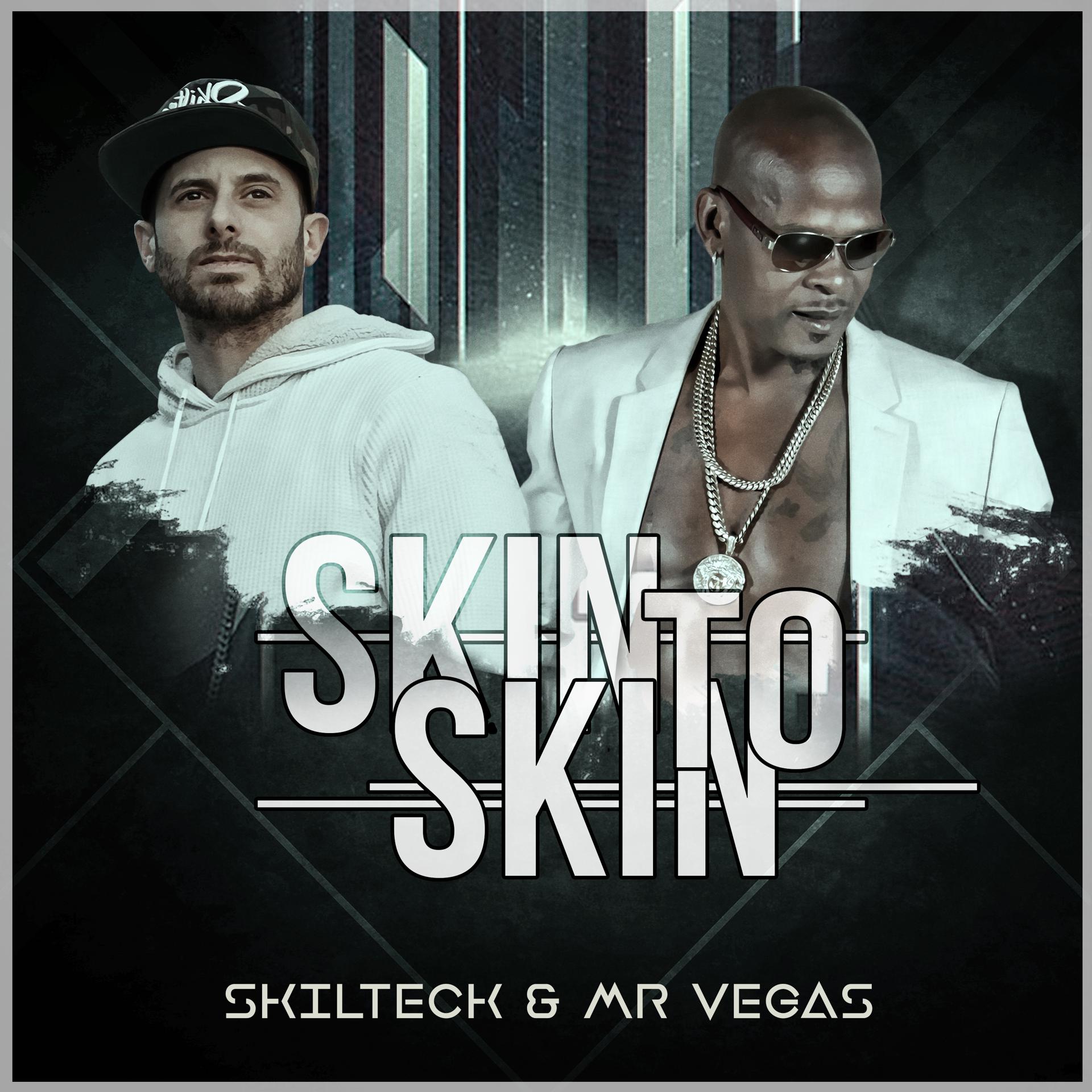 Постер альбома Skin to Skin
