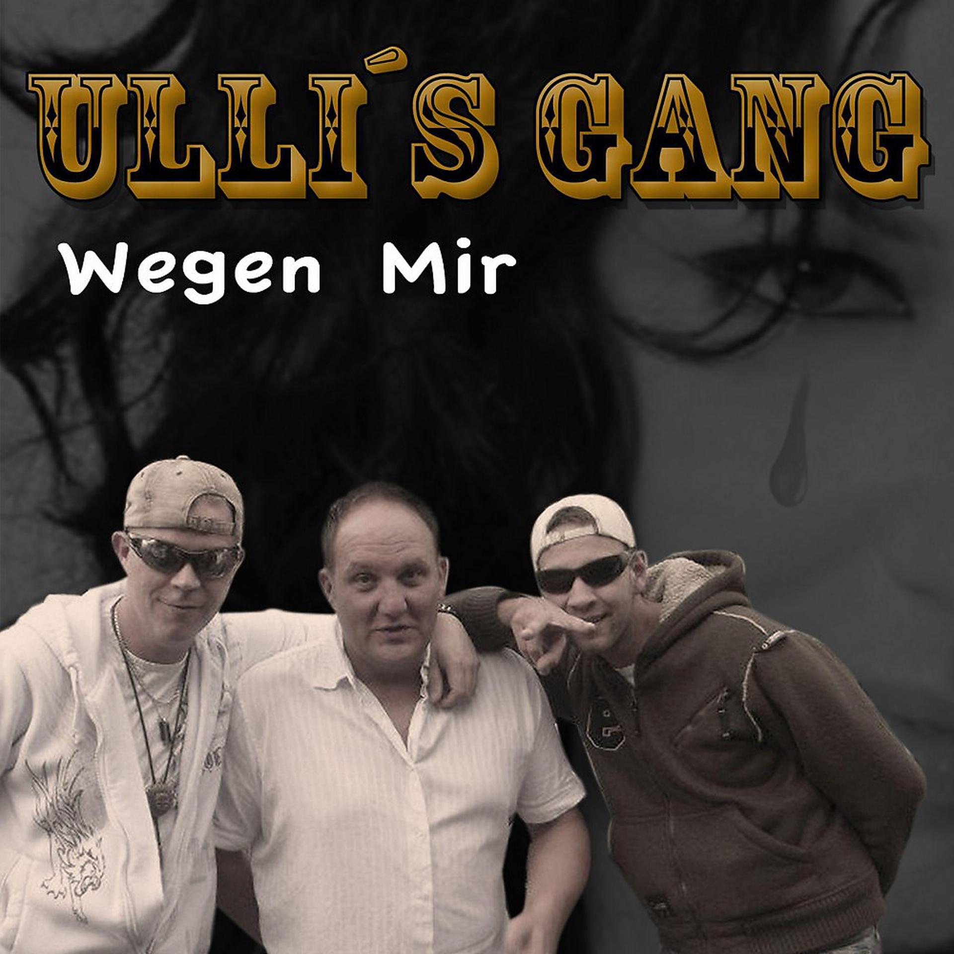 Постер альбома Wegen mir (Radio Edit)