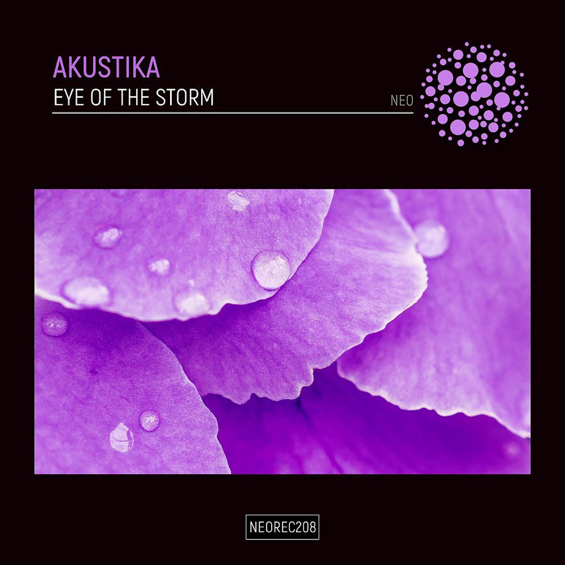 Постер альбома Eye Of The Storm