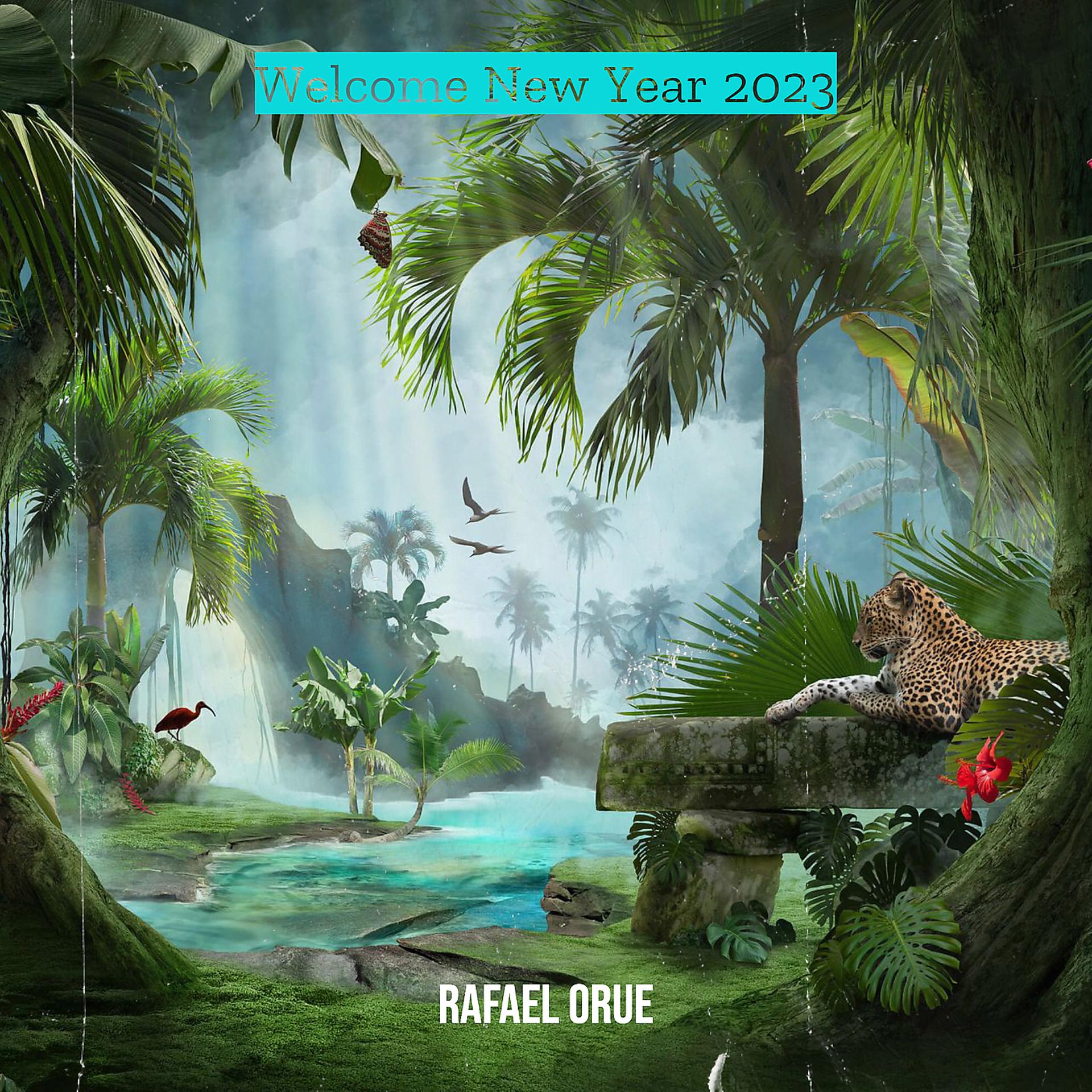 Постер альбома Welcome New Year 2023