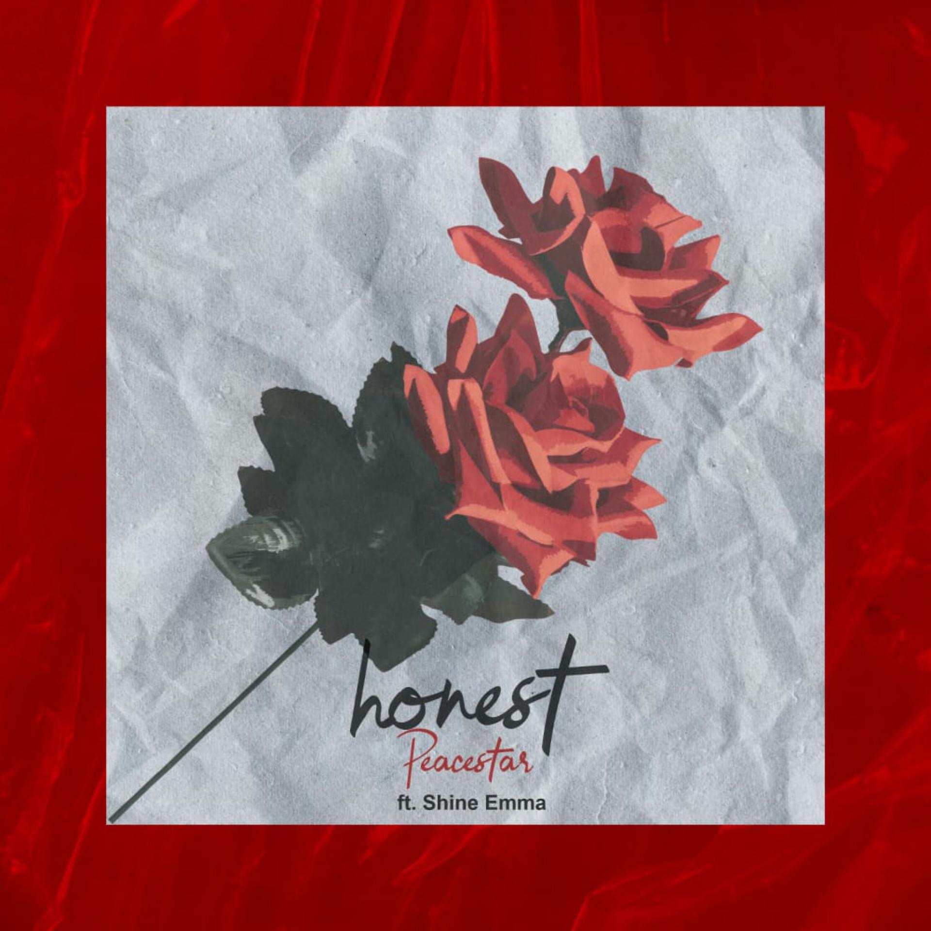 Постер альбома Honest (Radio Edit)