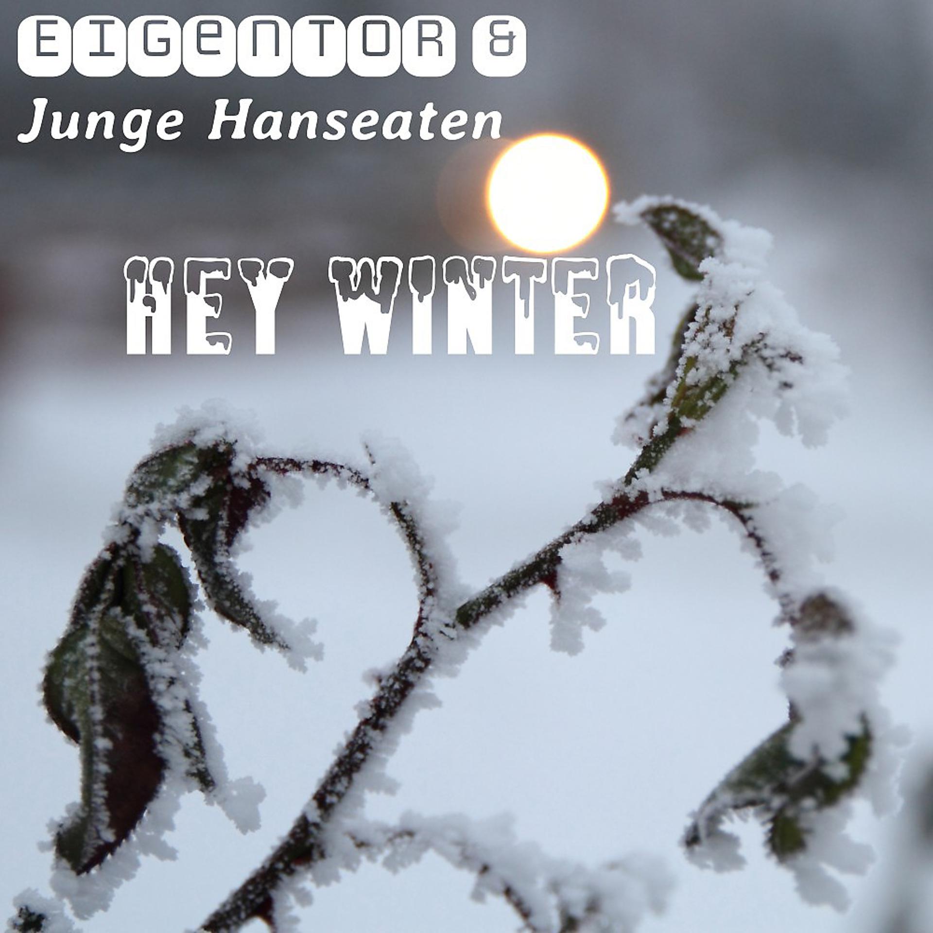Постер альбома Hey Winter