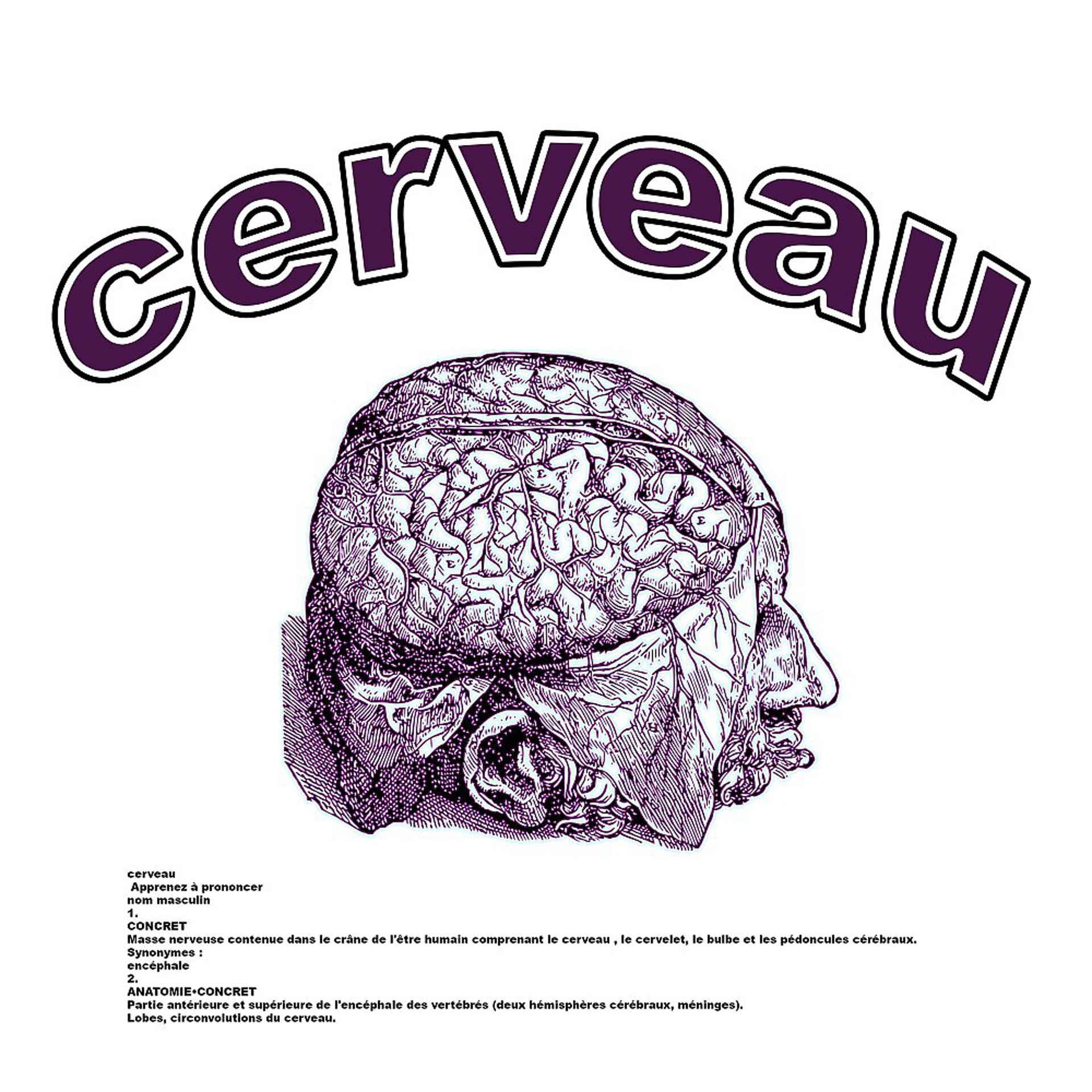 Постер альбома Cerveau