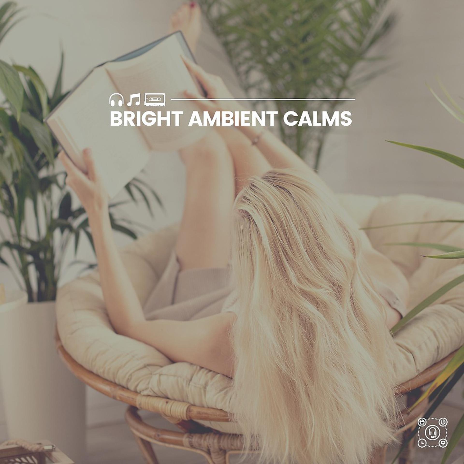 Постер альбома Bright Ambient Calms