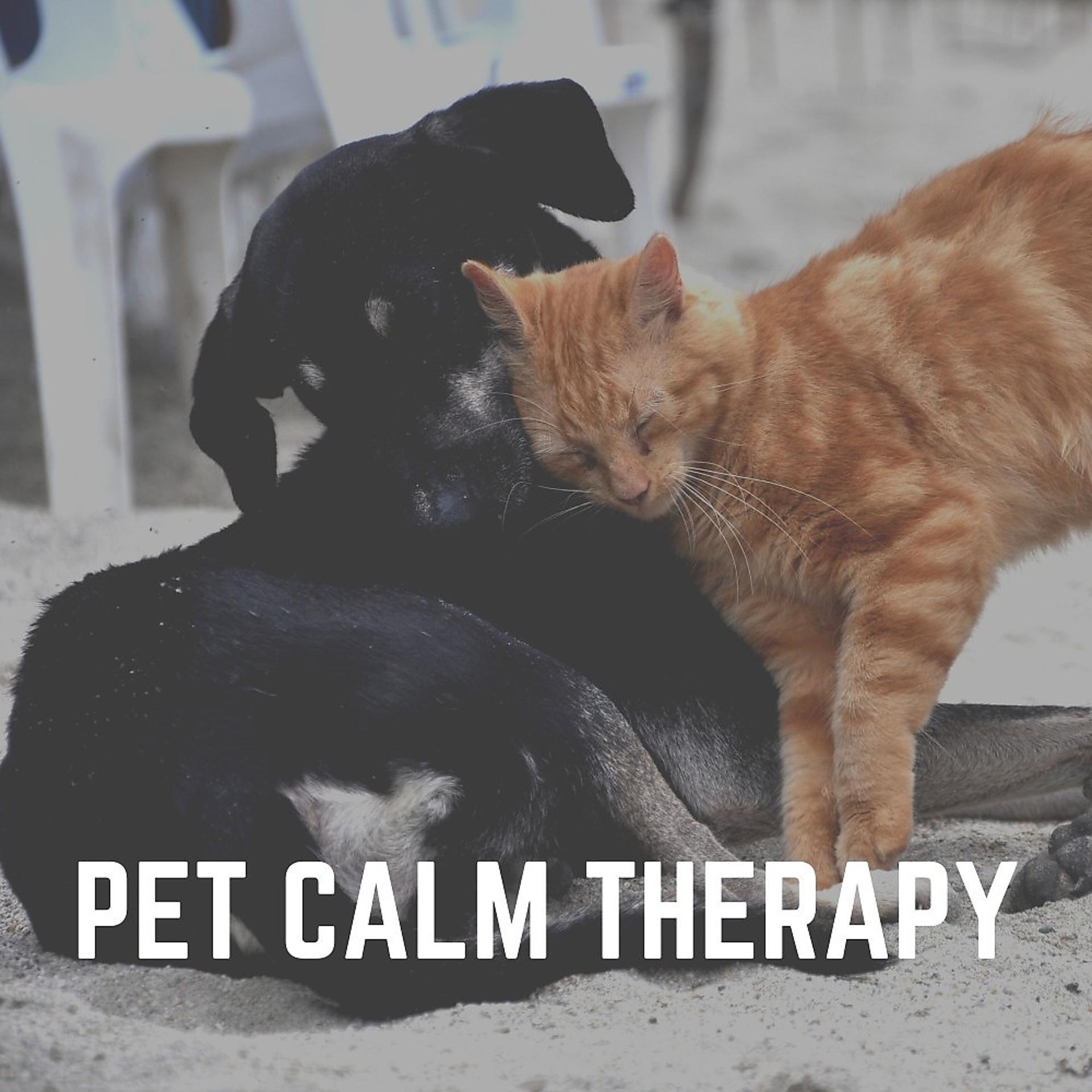 Постер альбома Pet Calm Therapy