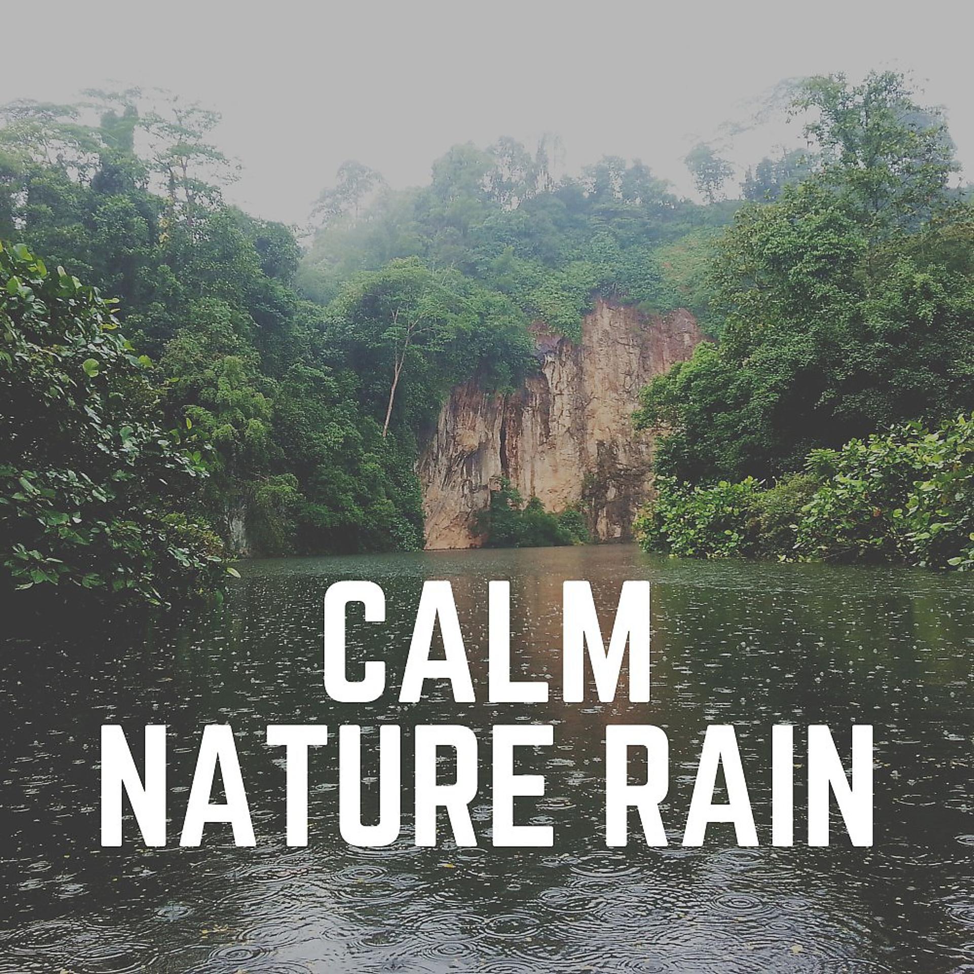 Постер альбома Calm Nature Rain