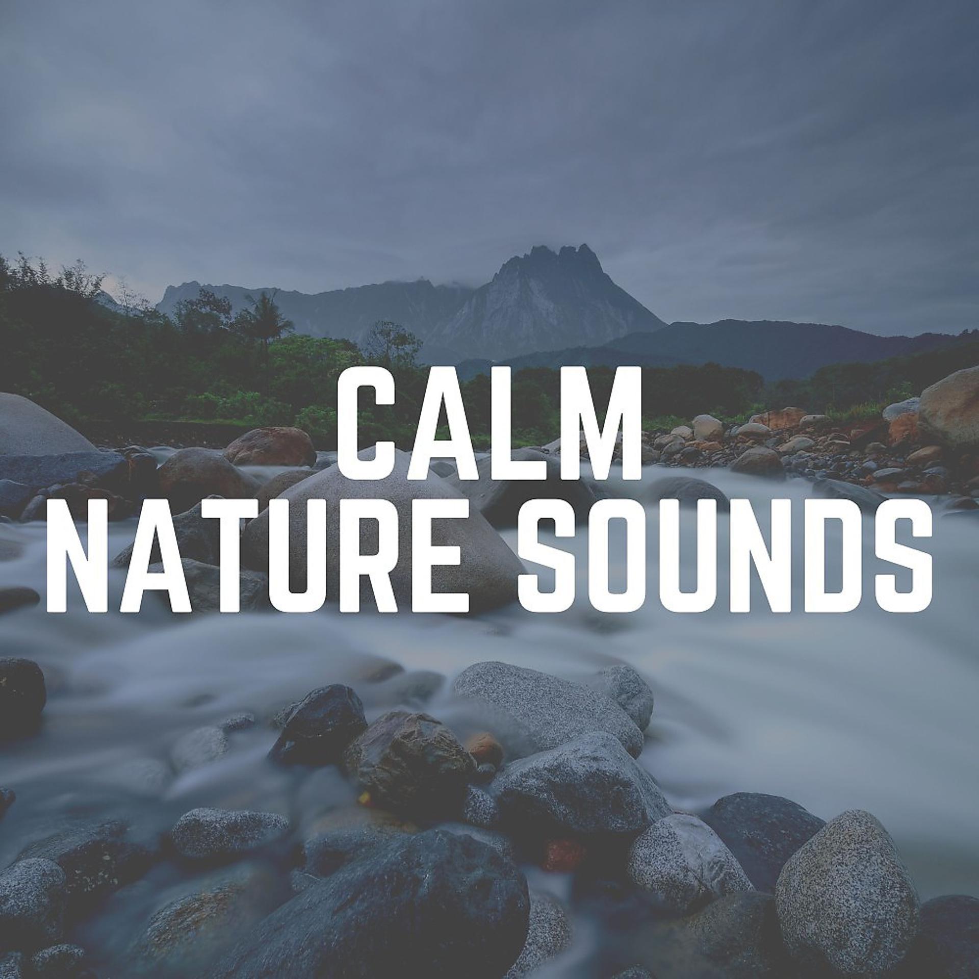 Постер альбома Calm Nature Sounds