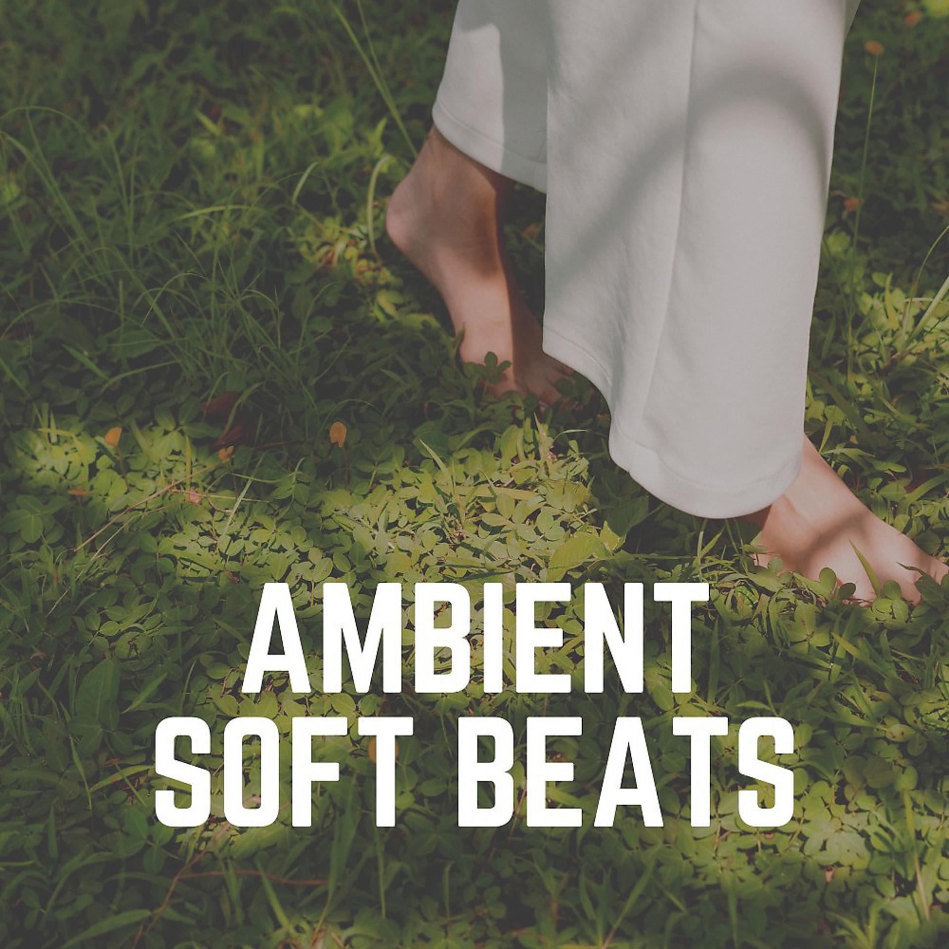 Постер альбома Ambient Soft Beats