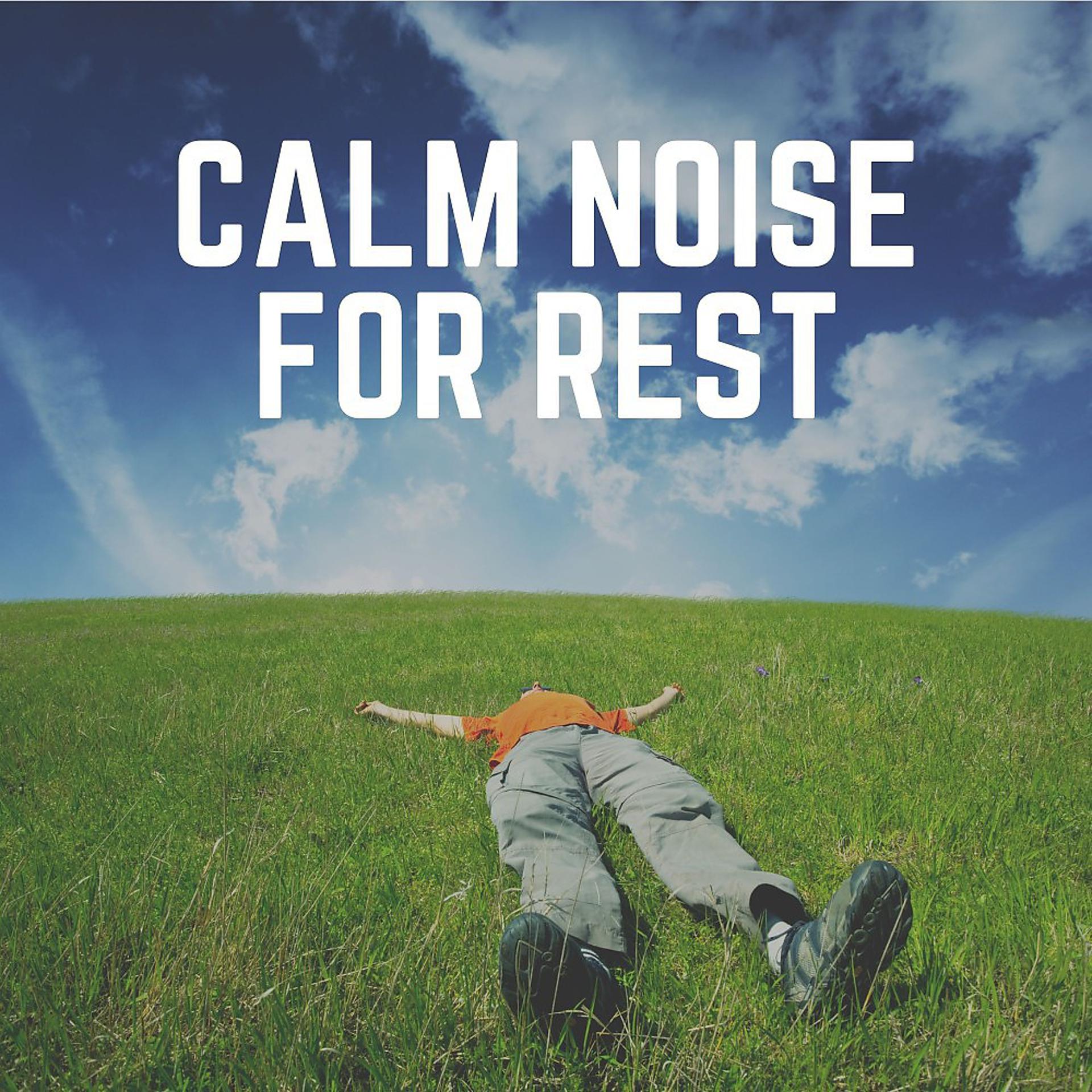 Постер альбома Calm Noise for Rest