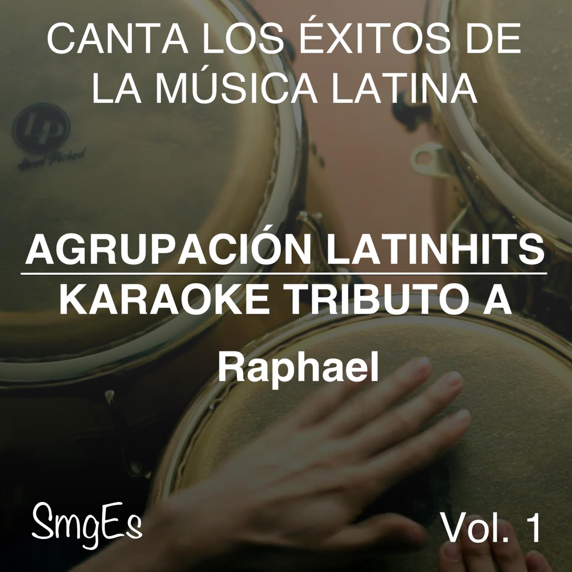Постер альбома Instrumental Karaoke Series: Raphael, Vol. 1