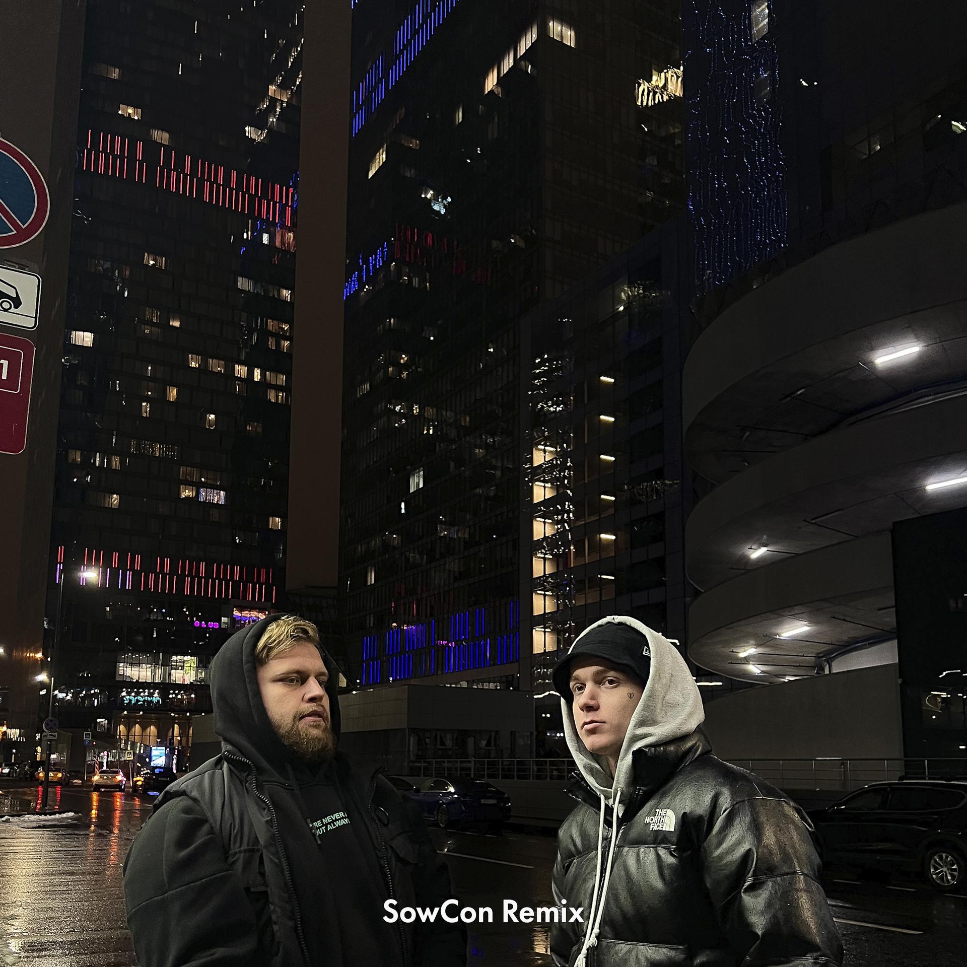 Постер альбома Крики (SowCon Remix)