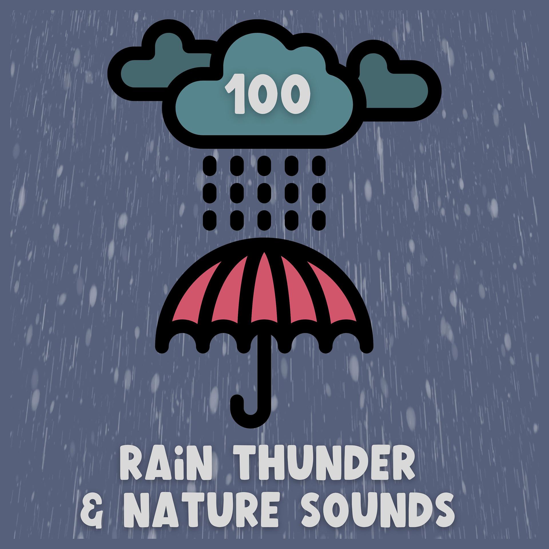 Постер альбома 100 Rain Thunder & Nature Sounds