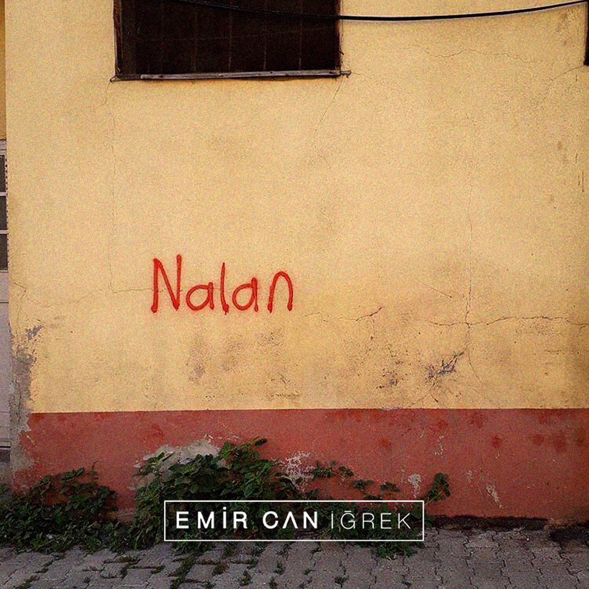 Постер альбома Nalan
