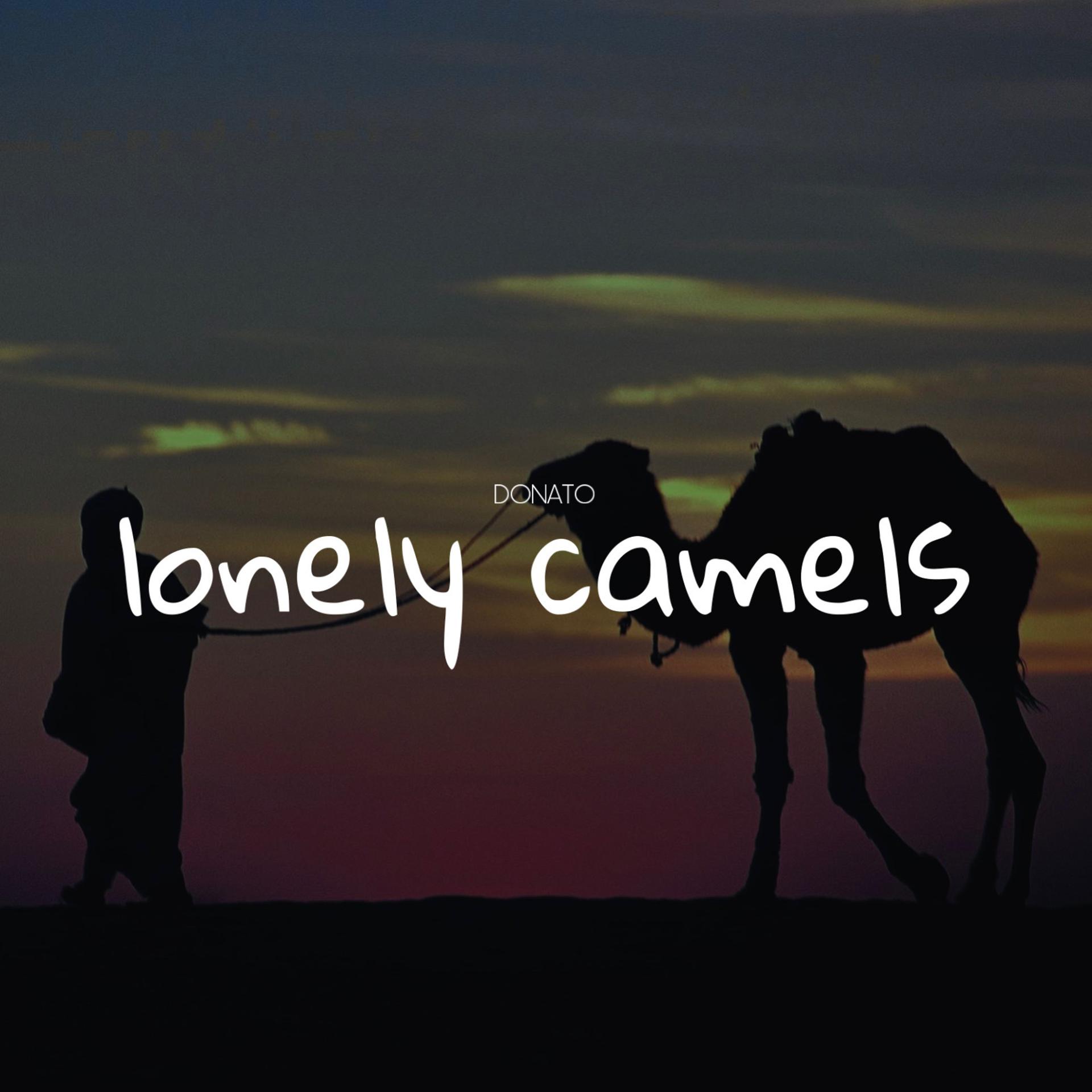 Постер альбома Lonely Camels