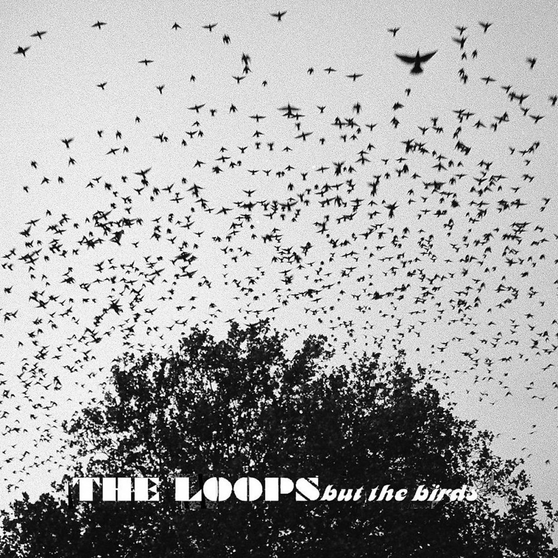 Постер альбома But the Birds