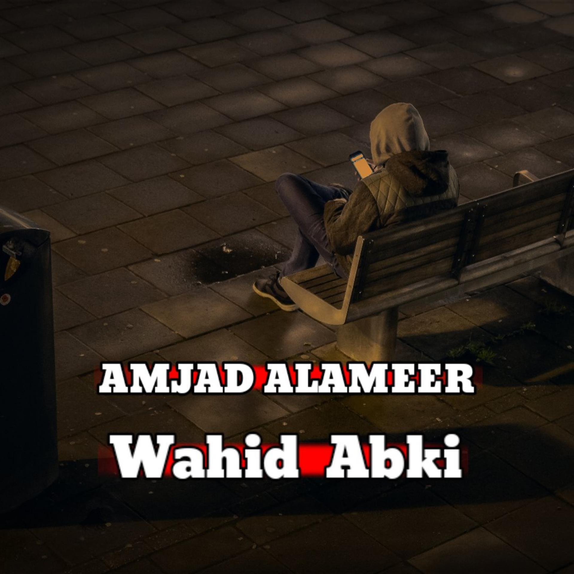 Постер альбома Wahid Abki