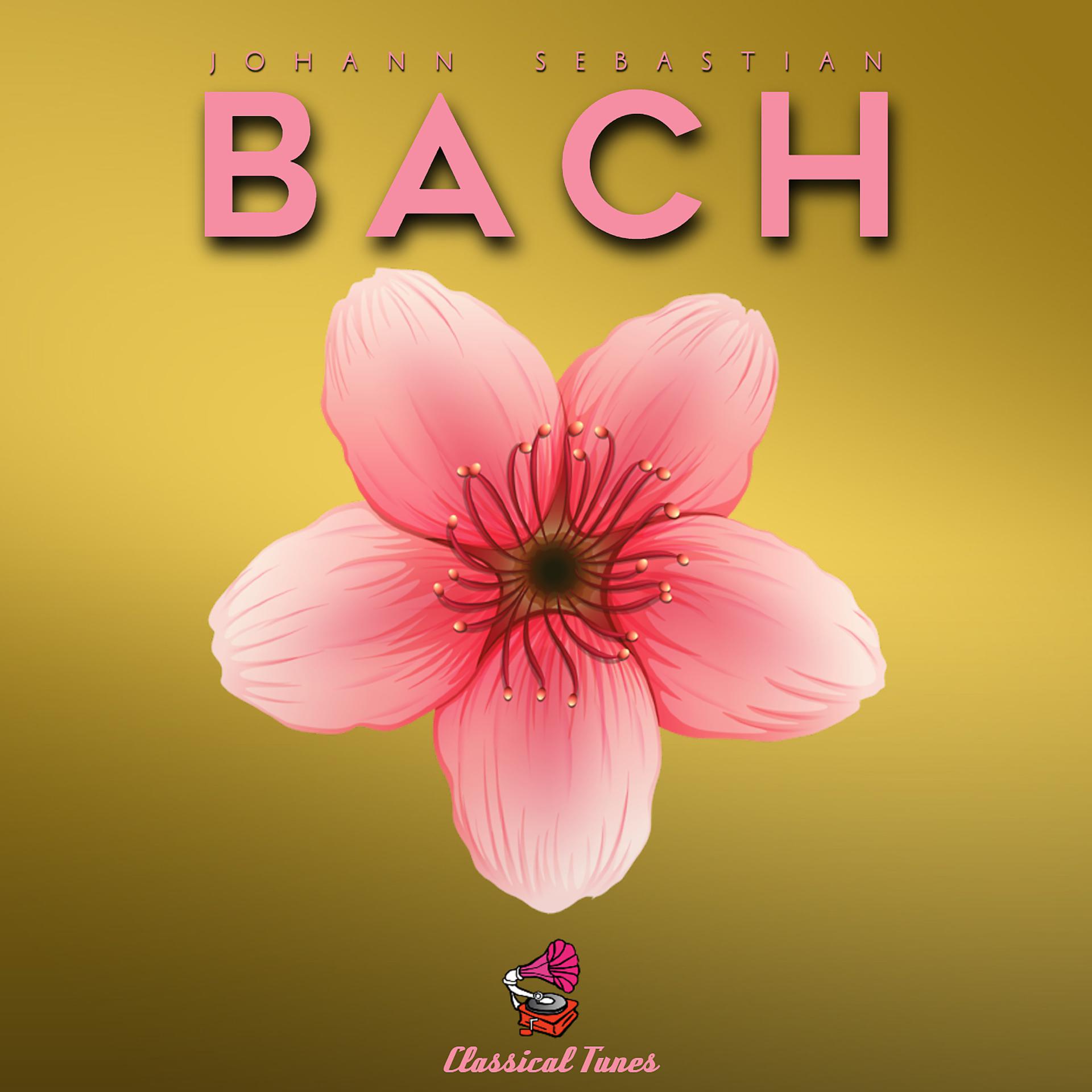 Постер альбома Johann Sebastian Bach Partitas