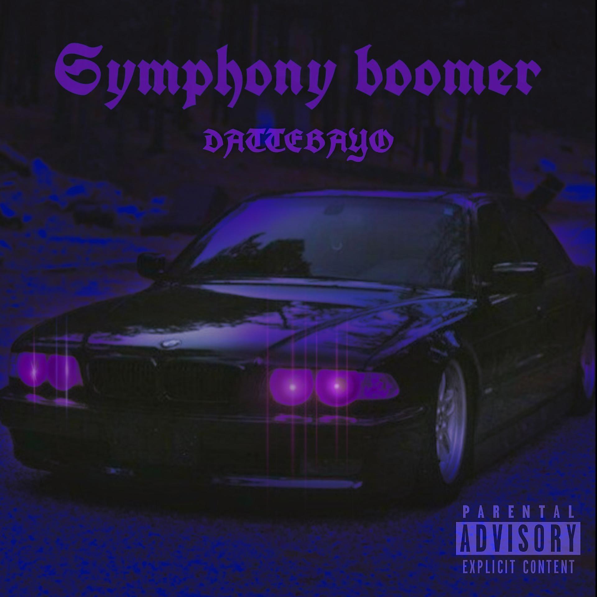 Постер альбома Symphony Boomer