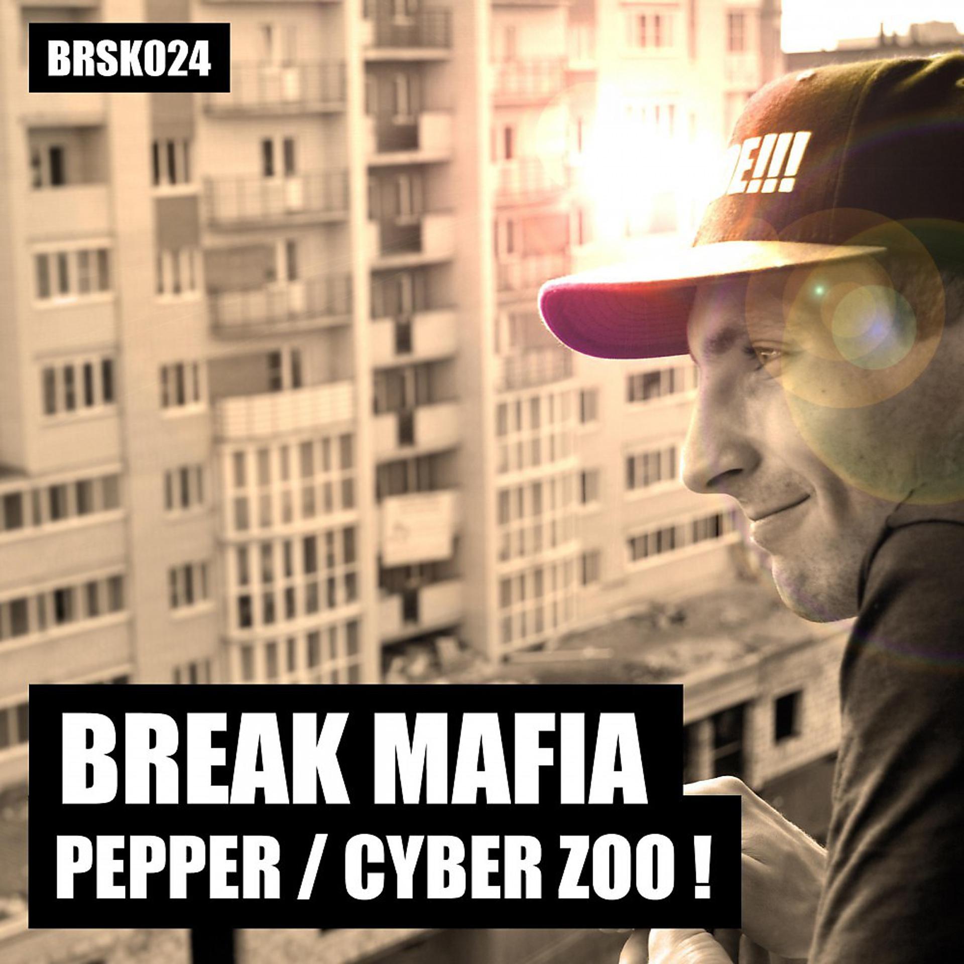 Постер альбома Pepper / Cyber Zoo !